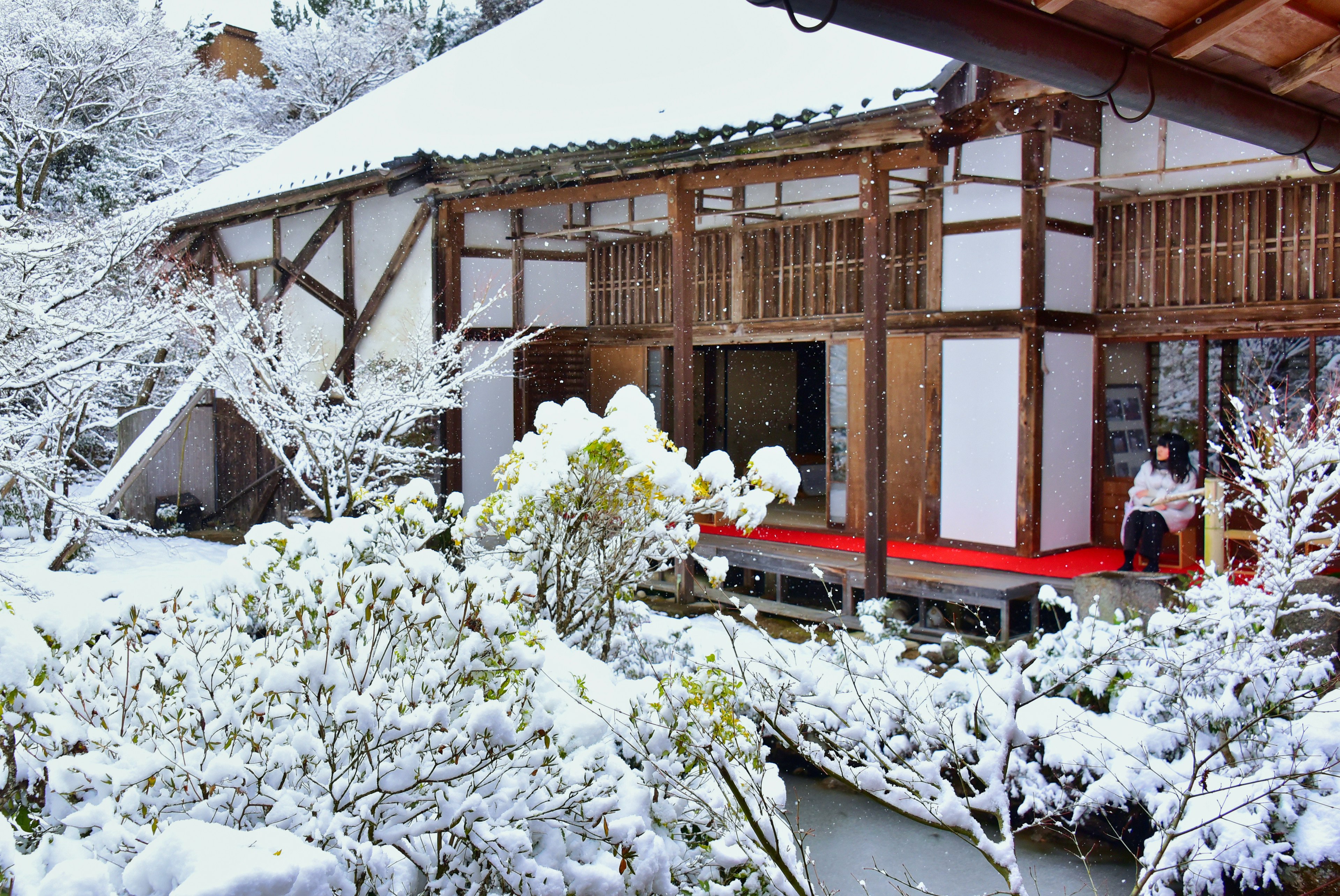 Casa y jardín japoneses tradicionales cubiertos de nieve