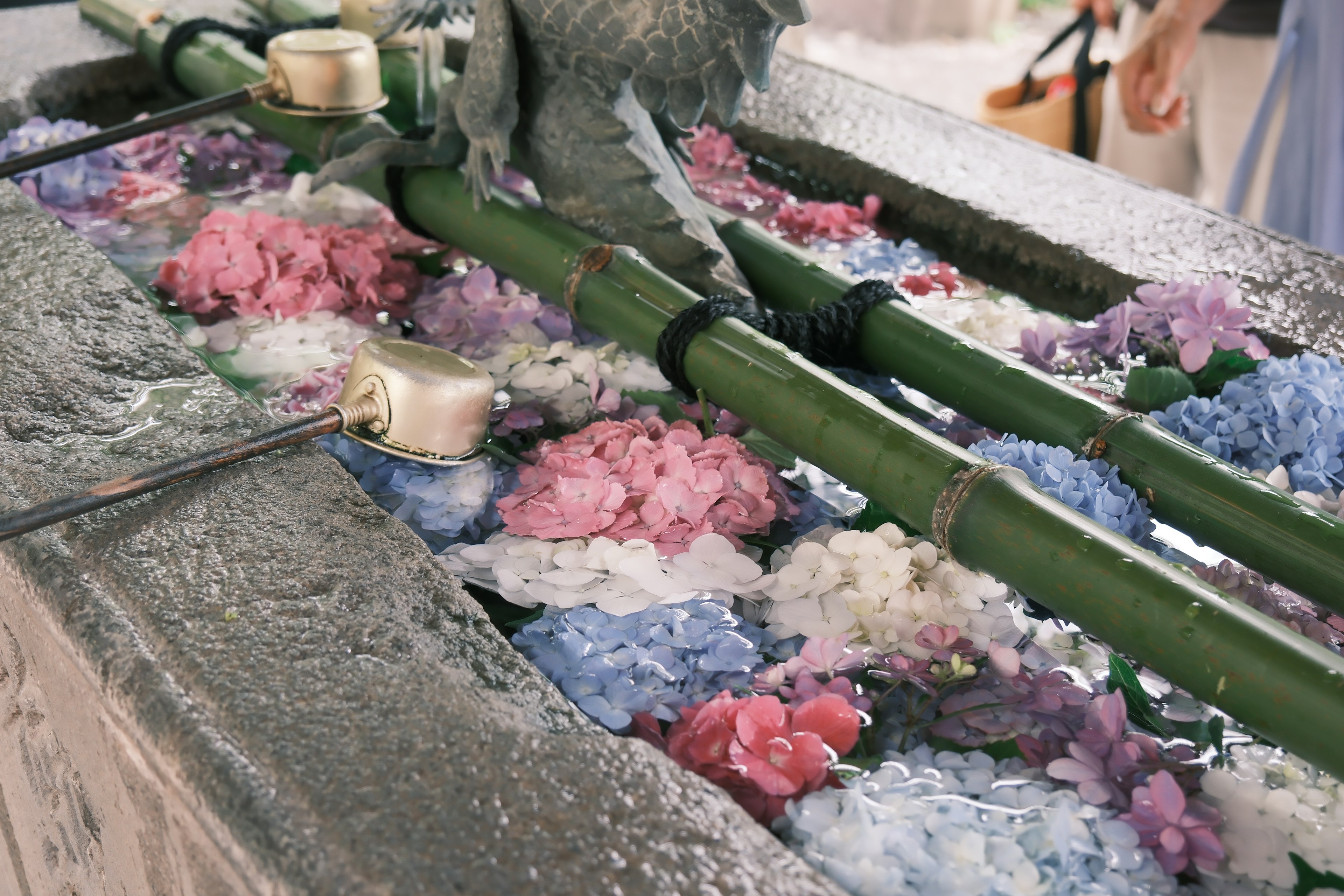 Flores coloridas flotando en una fuente de bambú