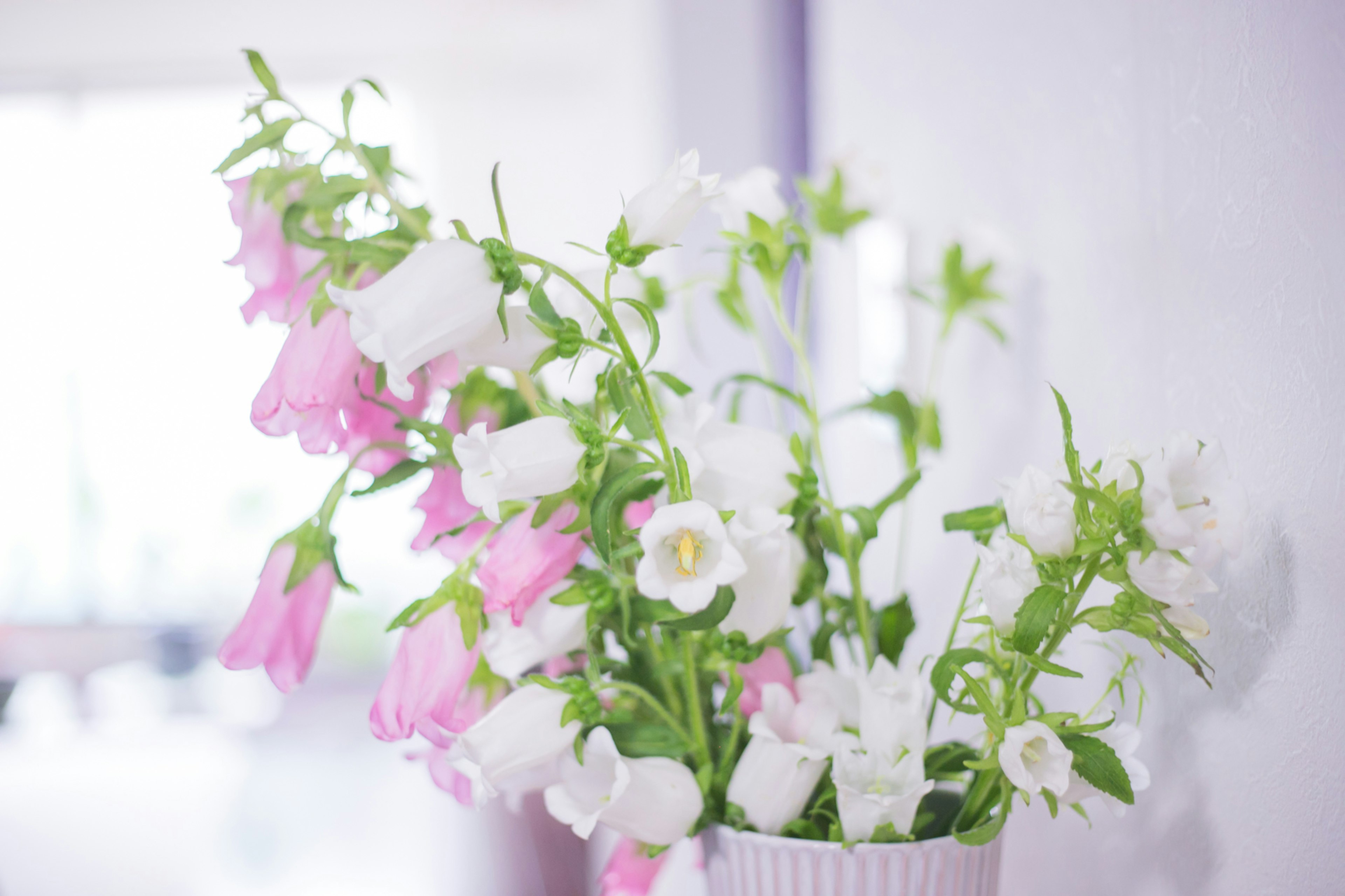 Eine Vase mit rosa und weißen Blumen vor einem weißen Hintergrund