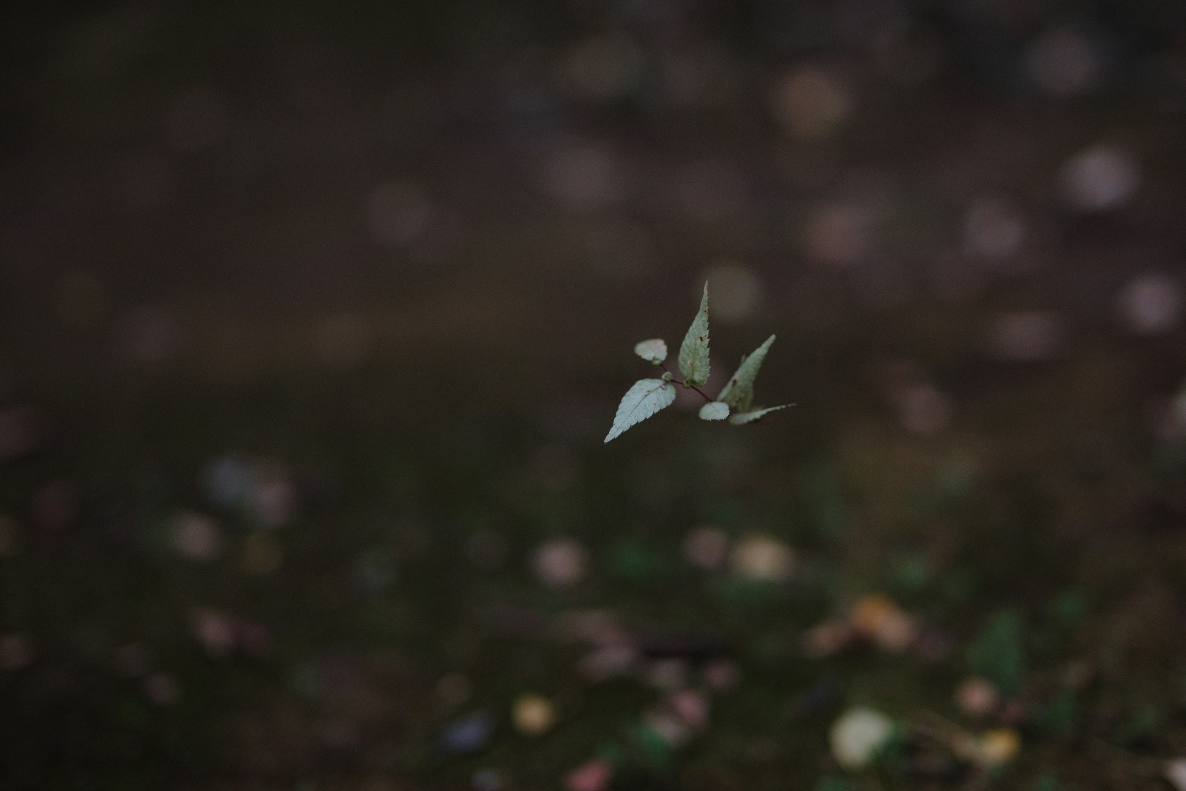 A white origami crane-like object floating against a dark background