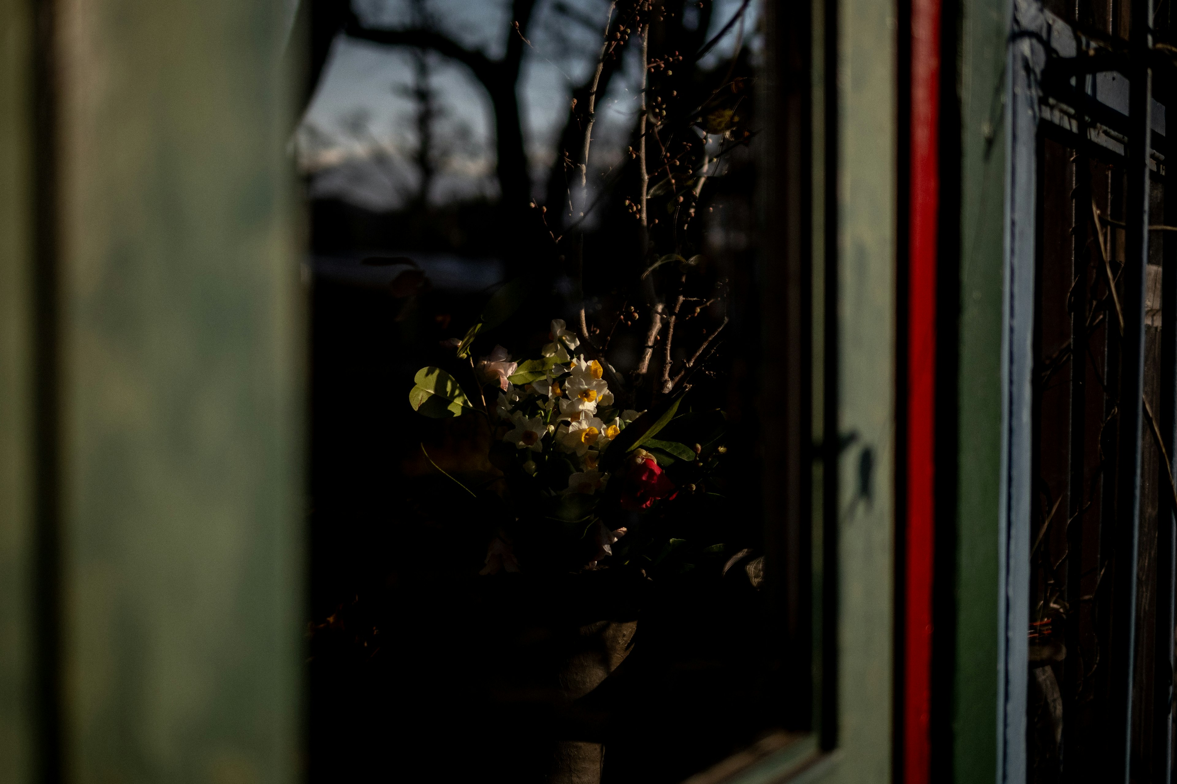 Marco de ventana verde que revela una maceta de flores y árboles de fondo