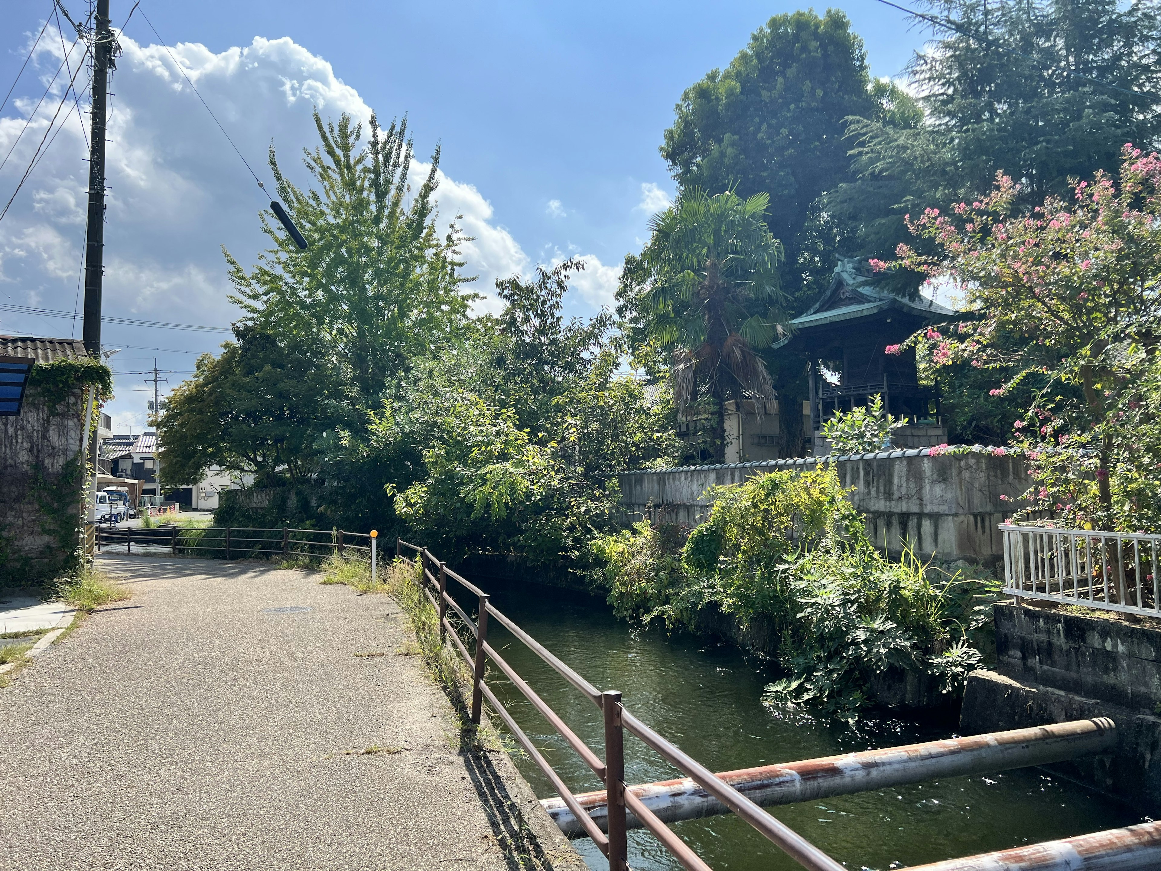 Sentiero panoramico accanto a un fiume verde con cielo blu