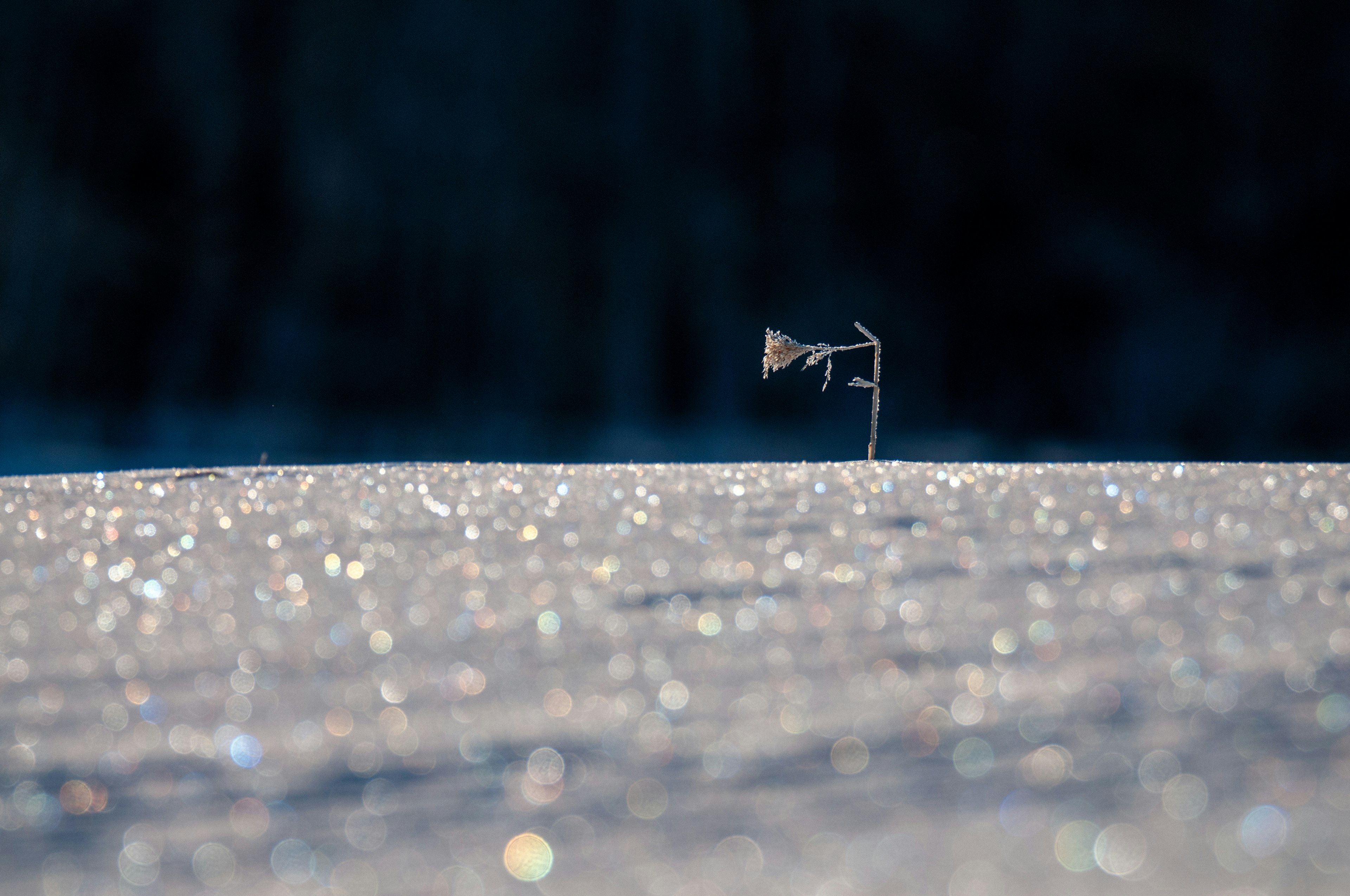 A small flag standing on a snowy surface with sparkling snow particles