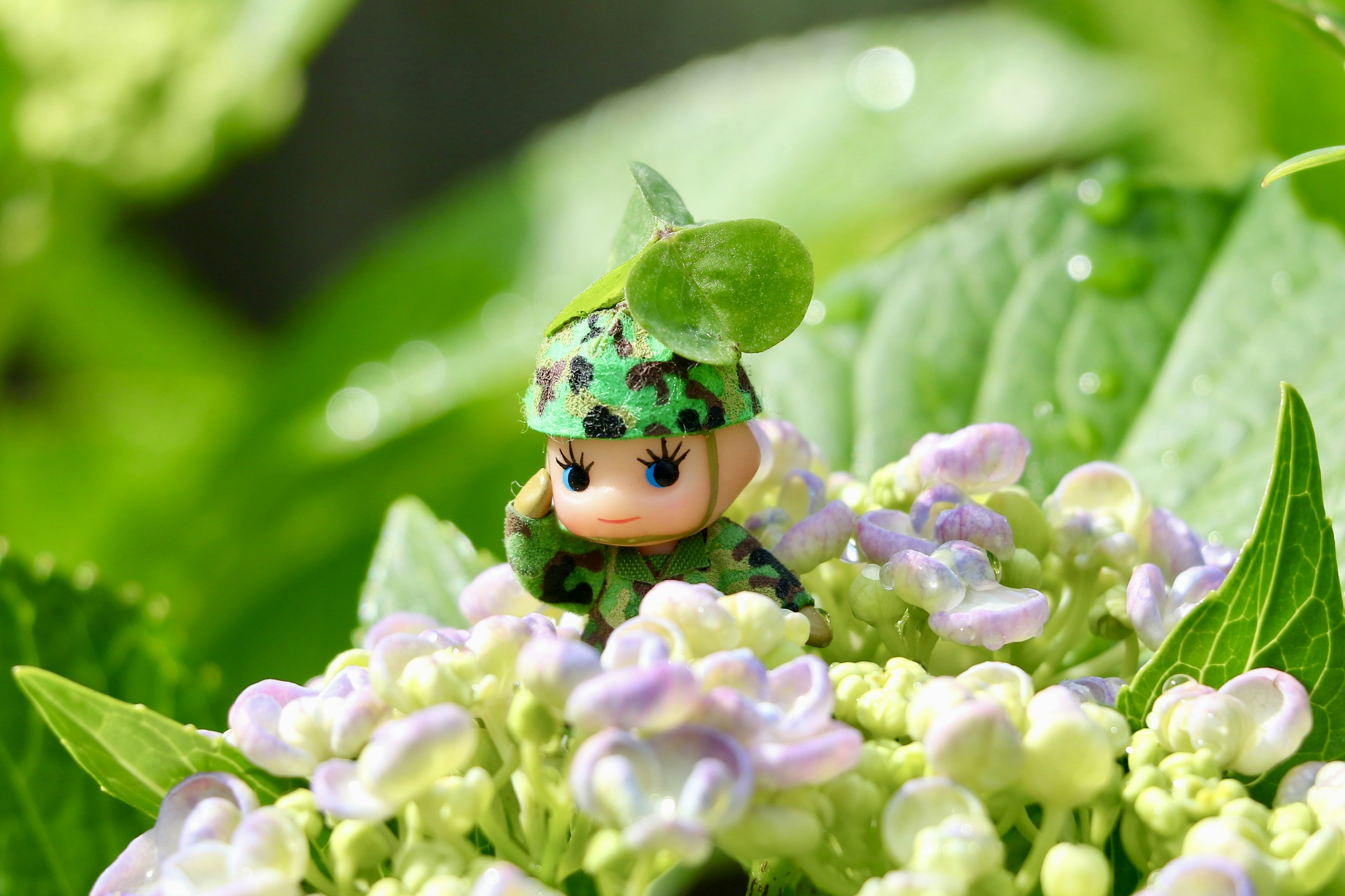 A small soldier figure hiding among flowers on green leaves