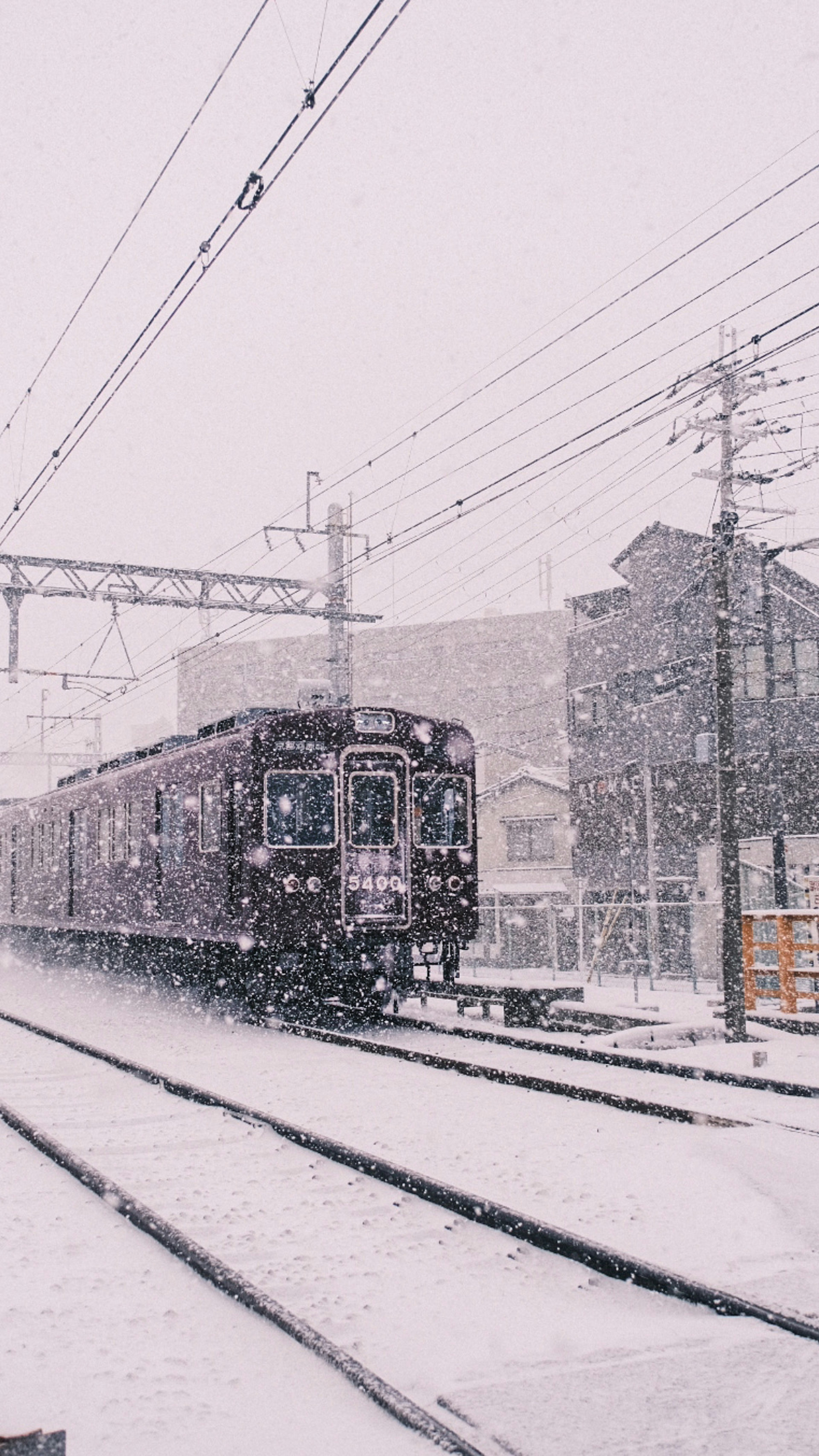 紫色火車在大雪中行駛，周圍有建築物