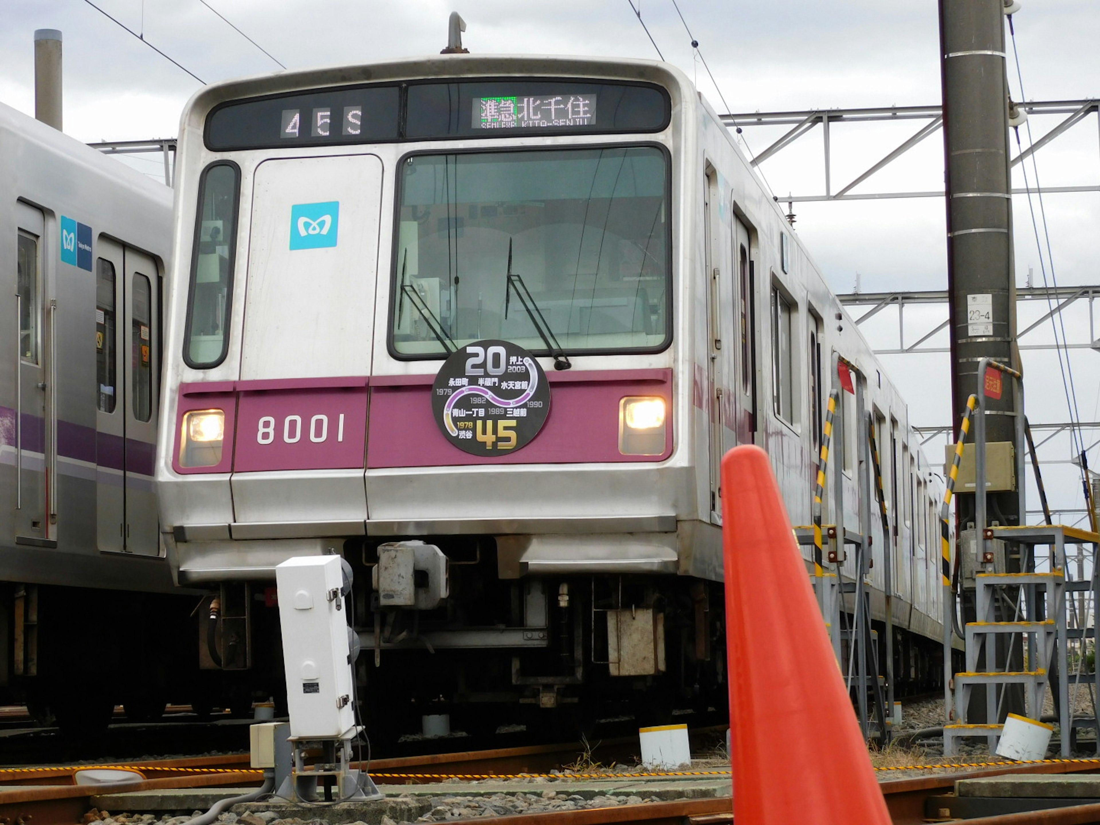 Tren morado número 8001 estacionado en las vías