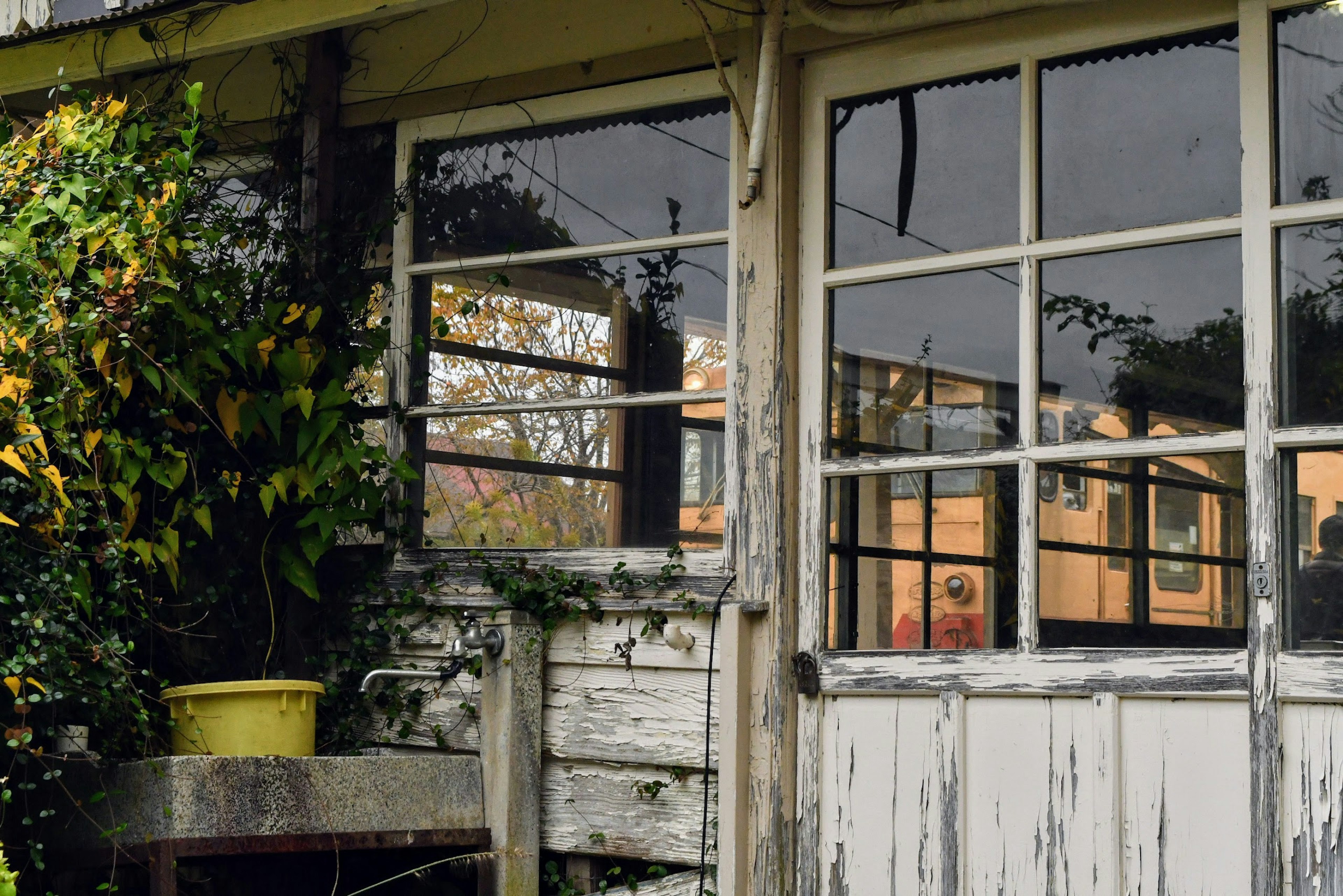 Parte de una casa con ventanas de madera envejecidas y plantas circundantes