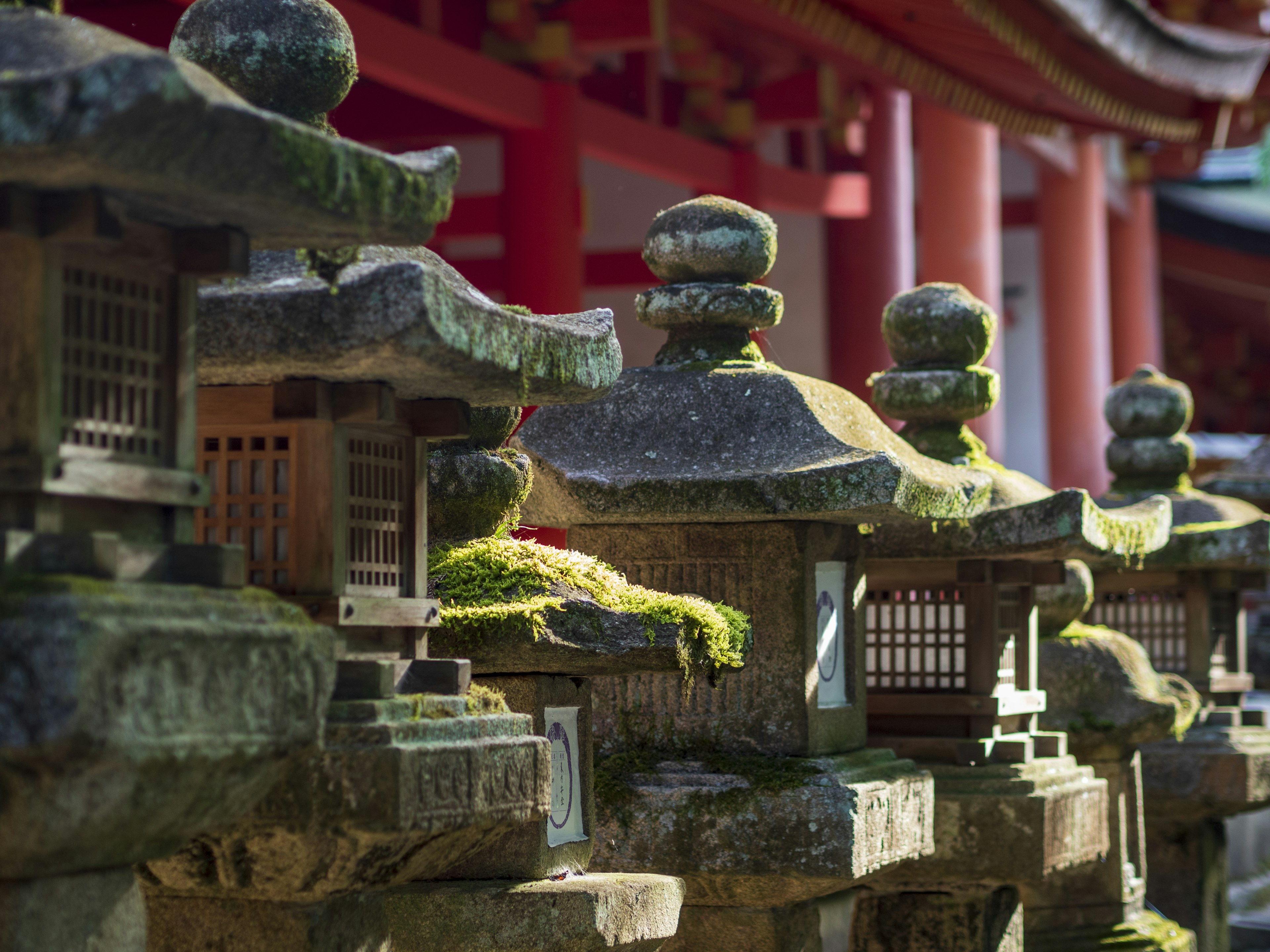 Line of moss-covered stone lanterns at a shrine