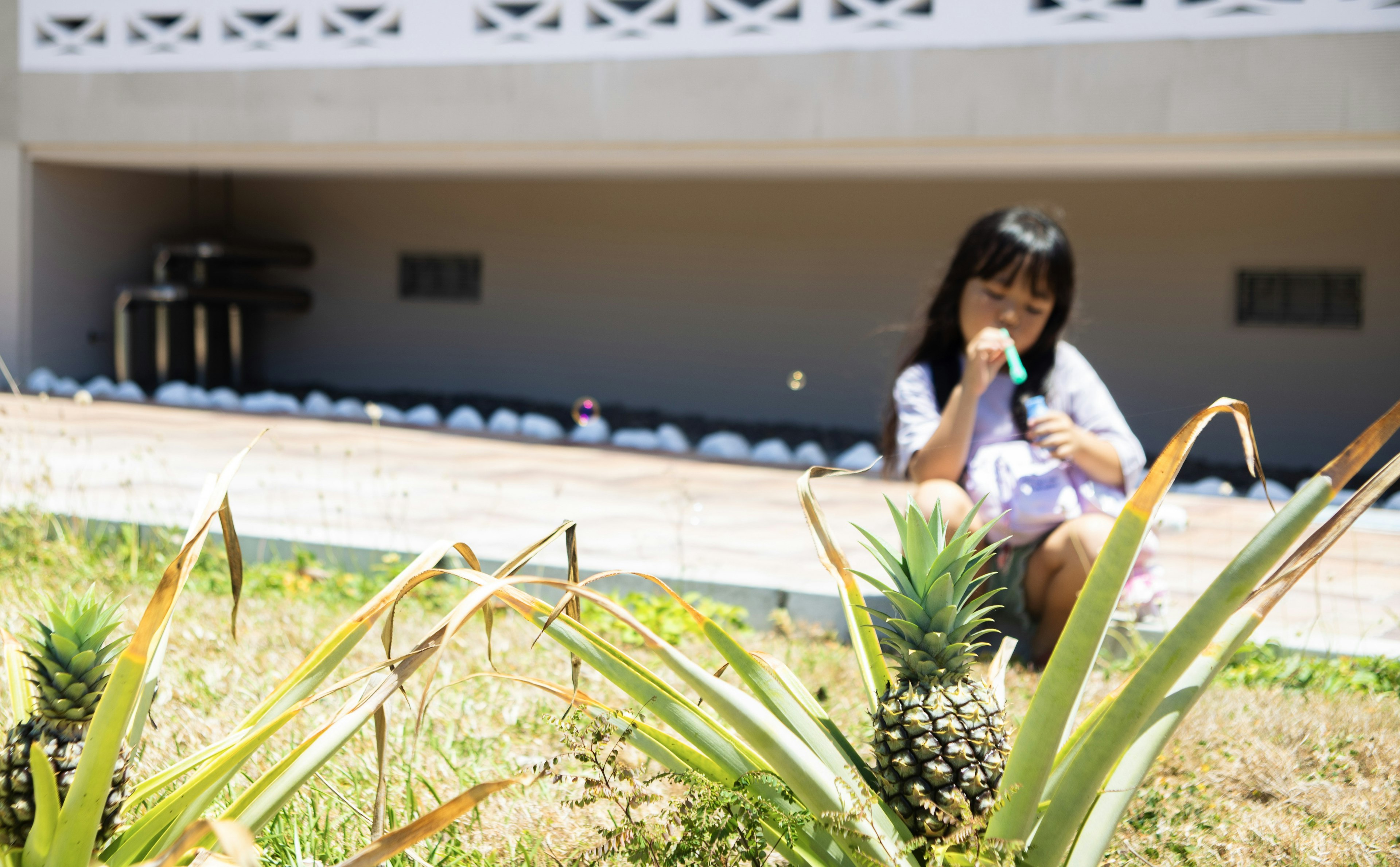 Seorang gadis duduk di dekat nanas menikmati es krim