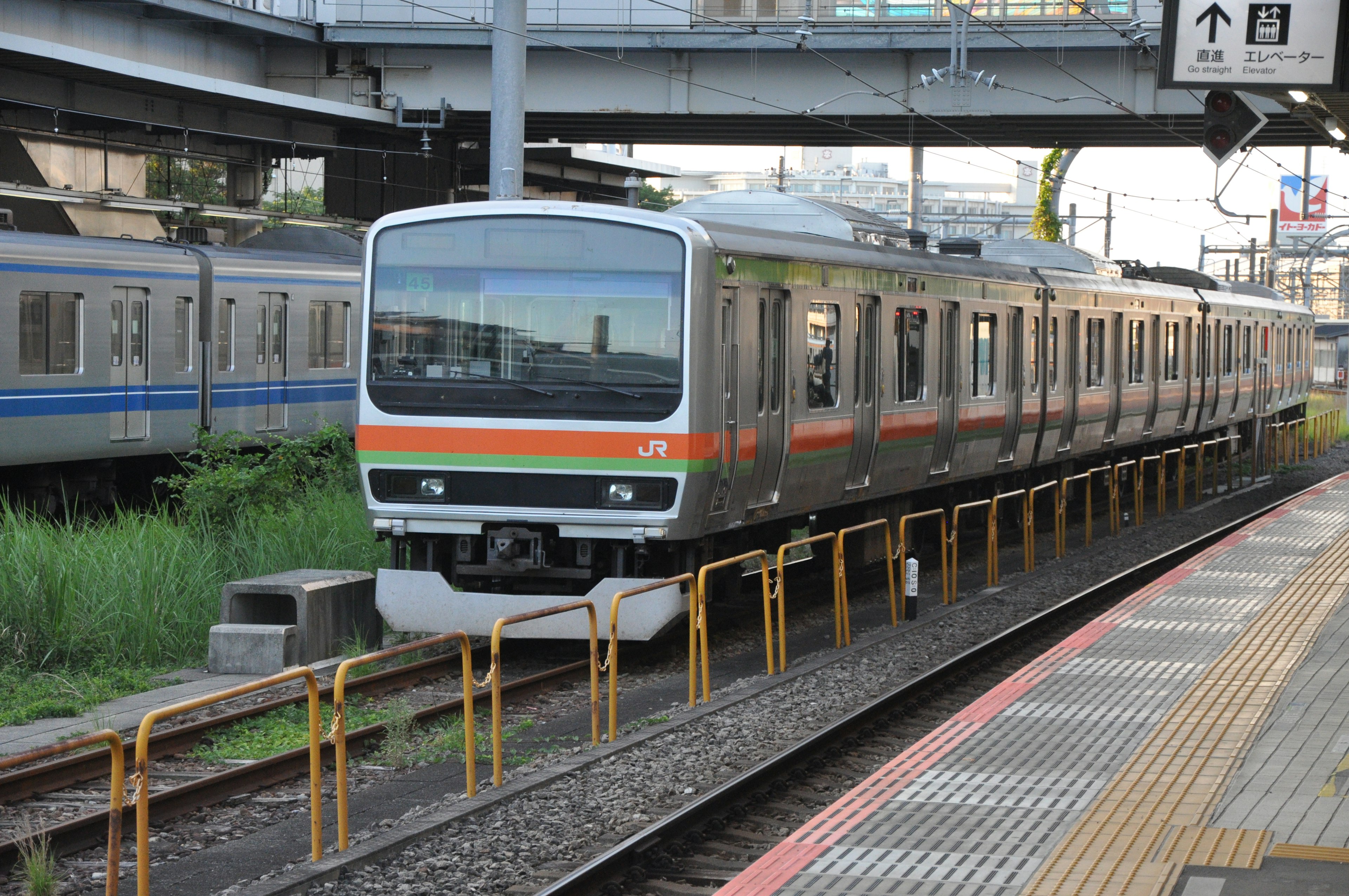 電車が駅に停車している風景 線路と周囲の草が見える