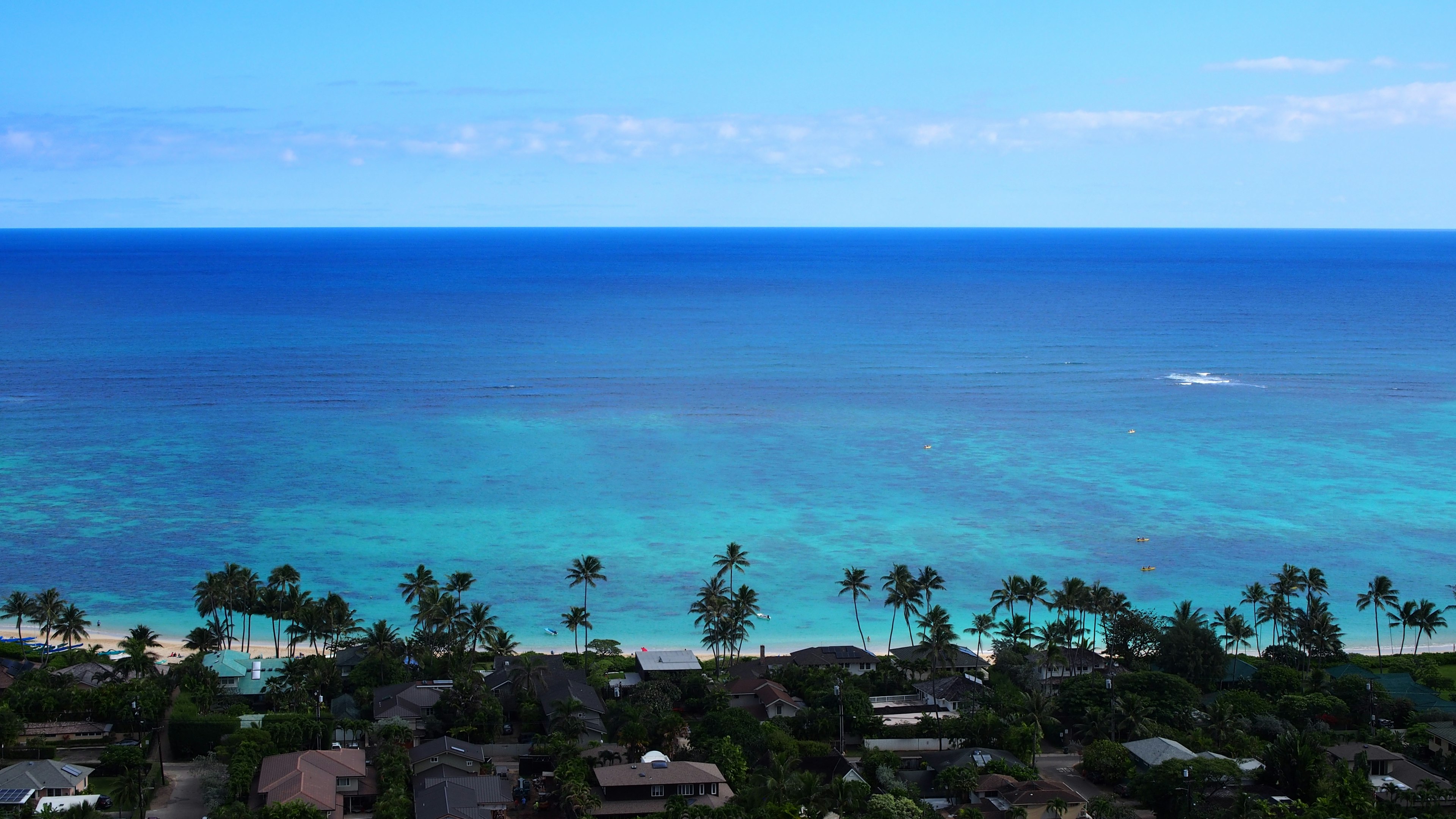 A scenic view of a bright blue ocean with green palm trees along the shoreline