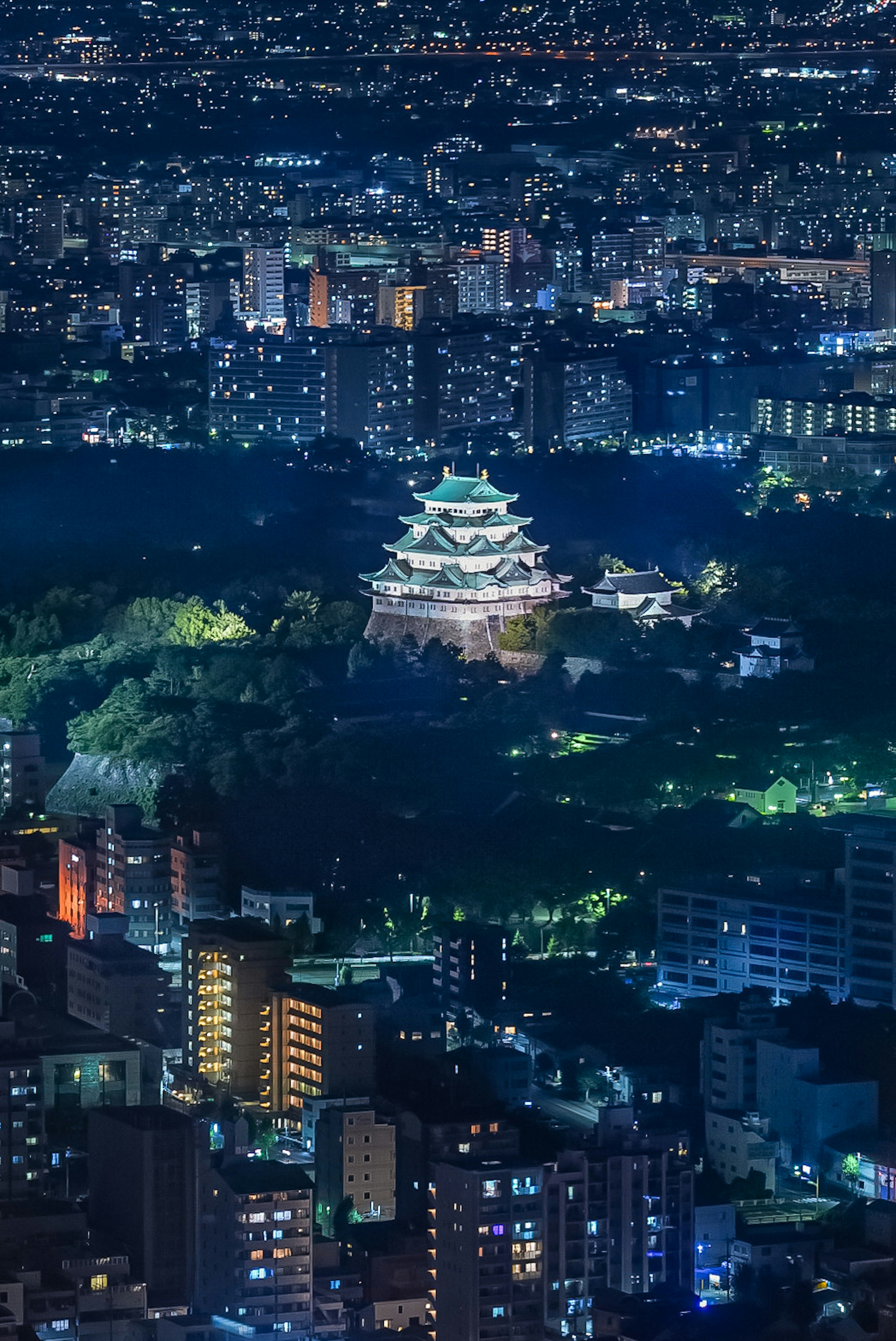 夜景の中に浮かぶ美しい城の光景