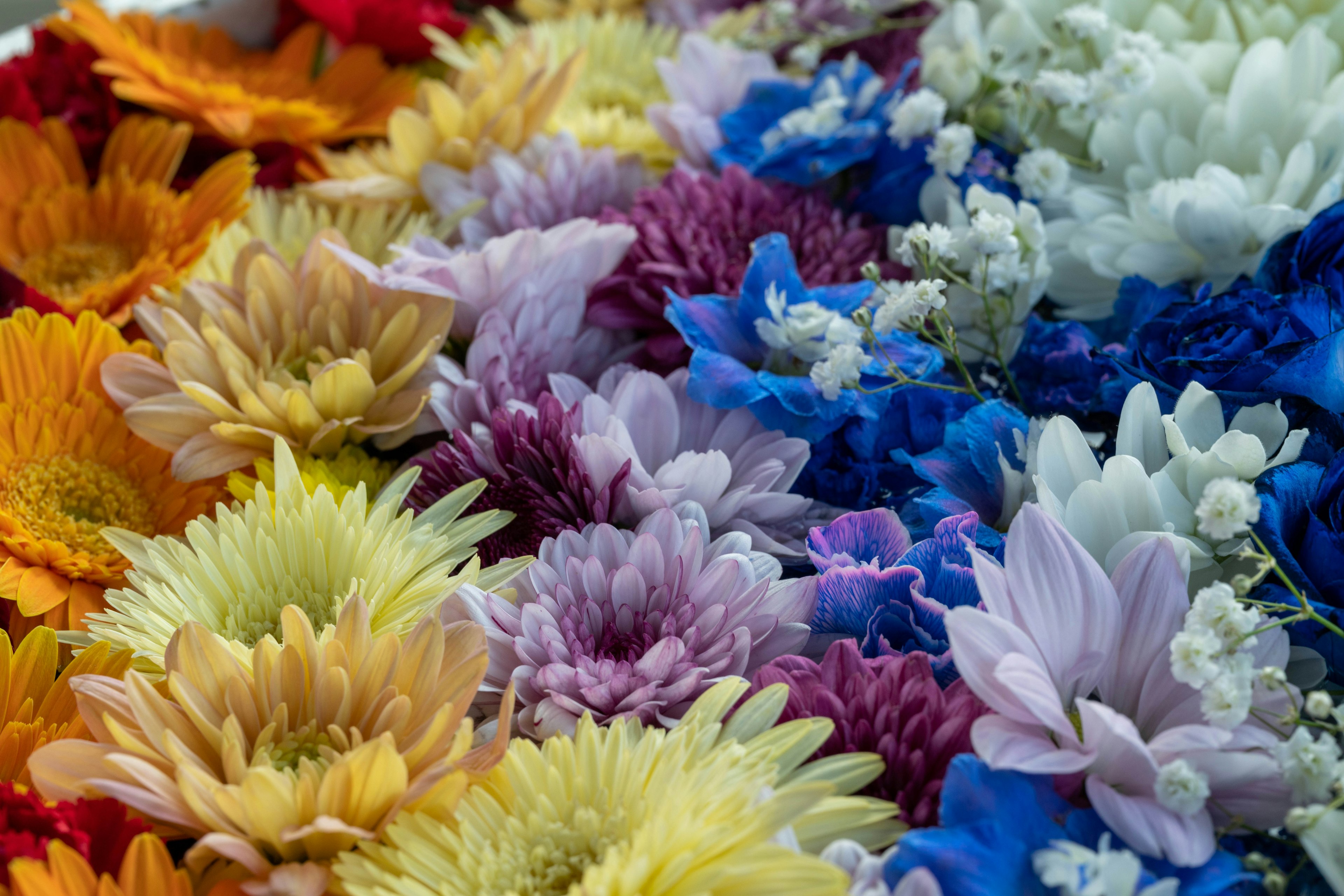 Un vibrante arreglo de flores coloridas