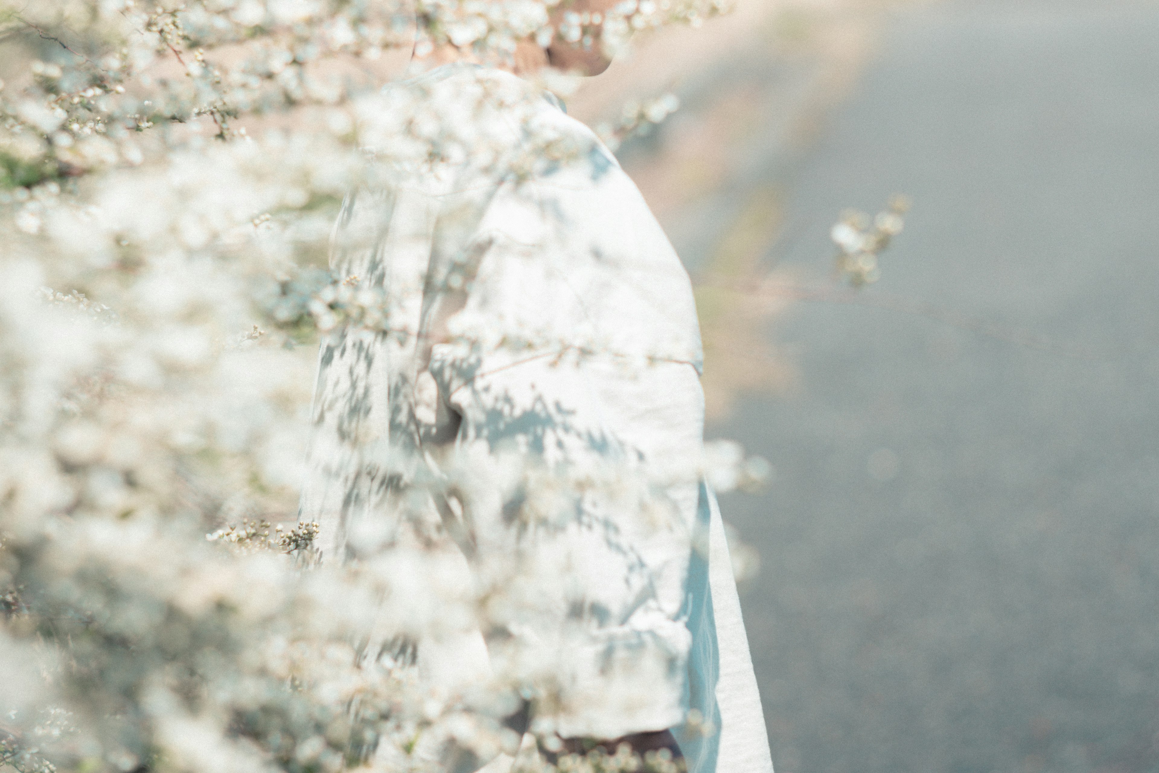 Eine Person von hinten umgeben von weißen Blumen entlang einer Straße