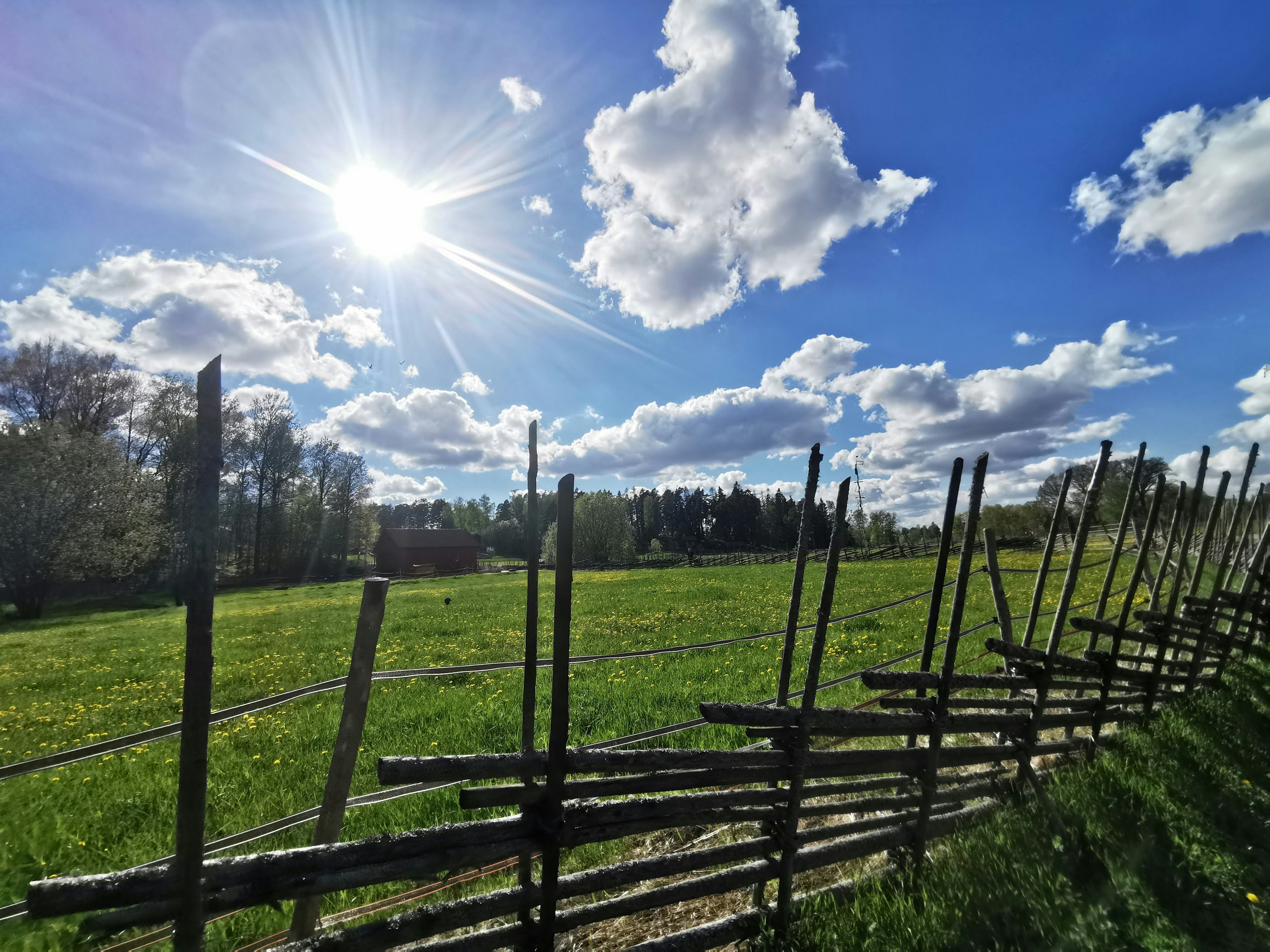 Paesaggio con una recinzione in legno sotto un cielo blu luminoso e la luce del sole