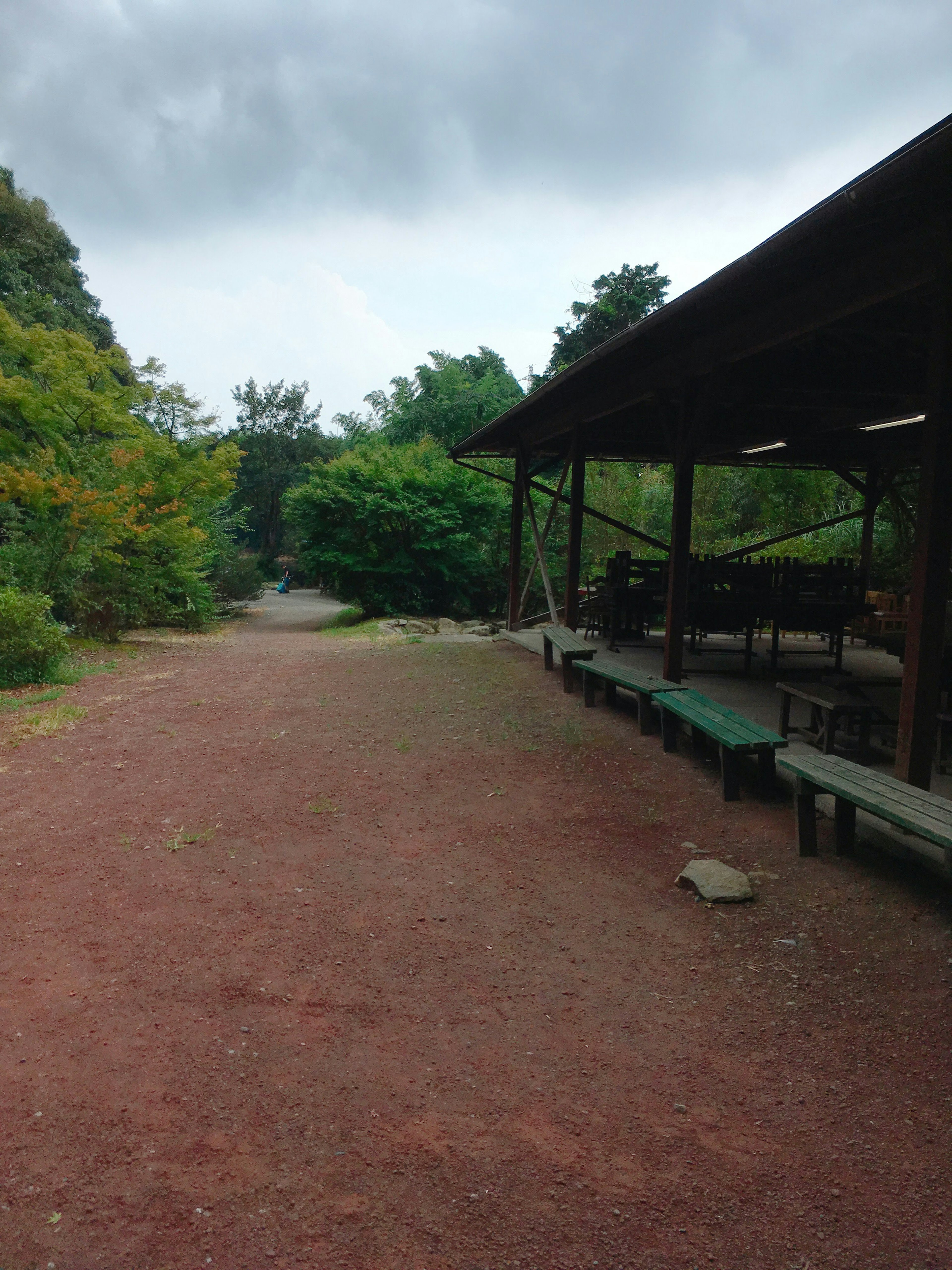 緑豊かな道と屋根付きの休憩所がある静かな風景