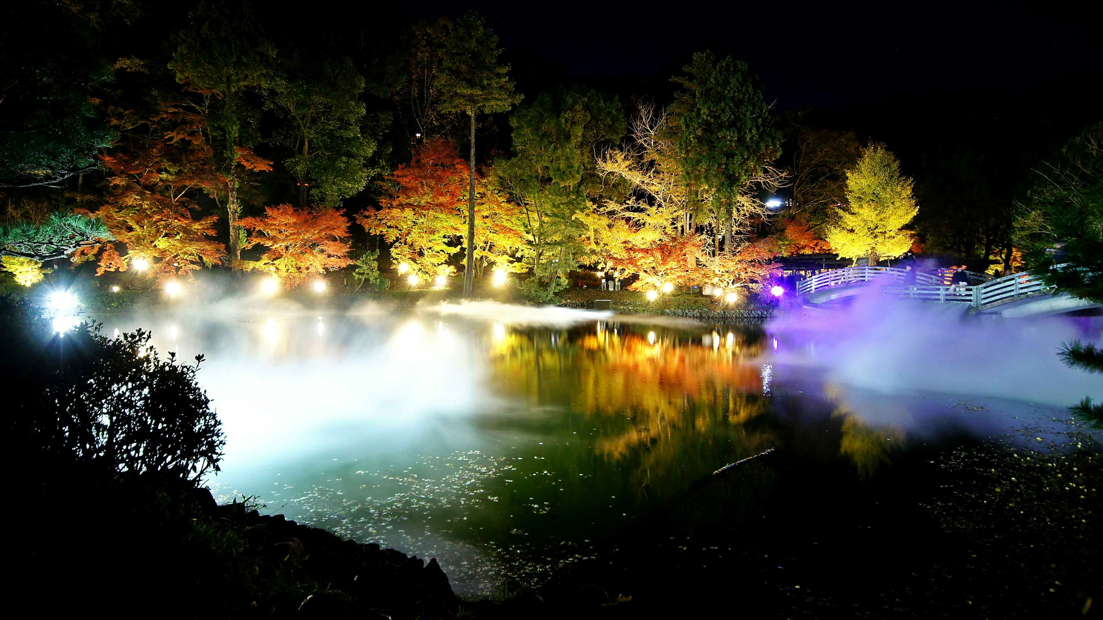 Night scene of a pond illuminated by colorful trees