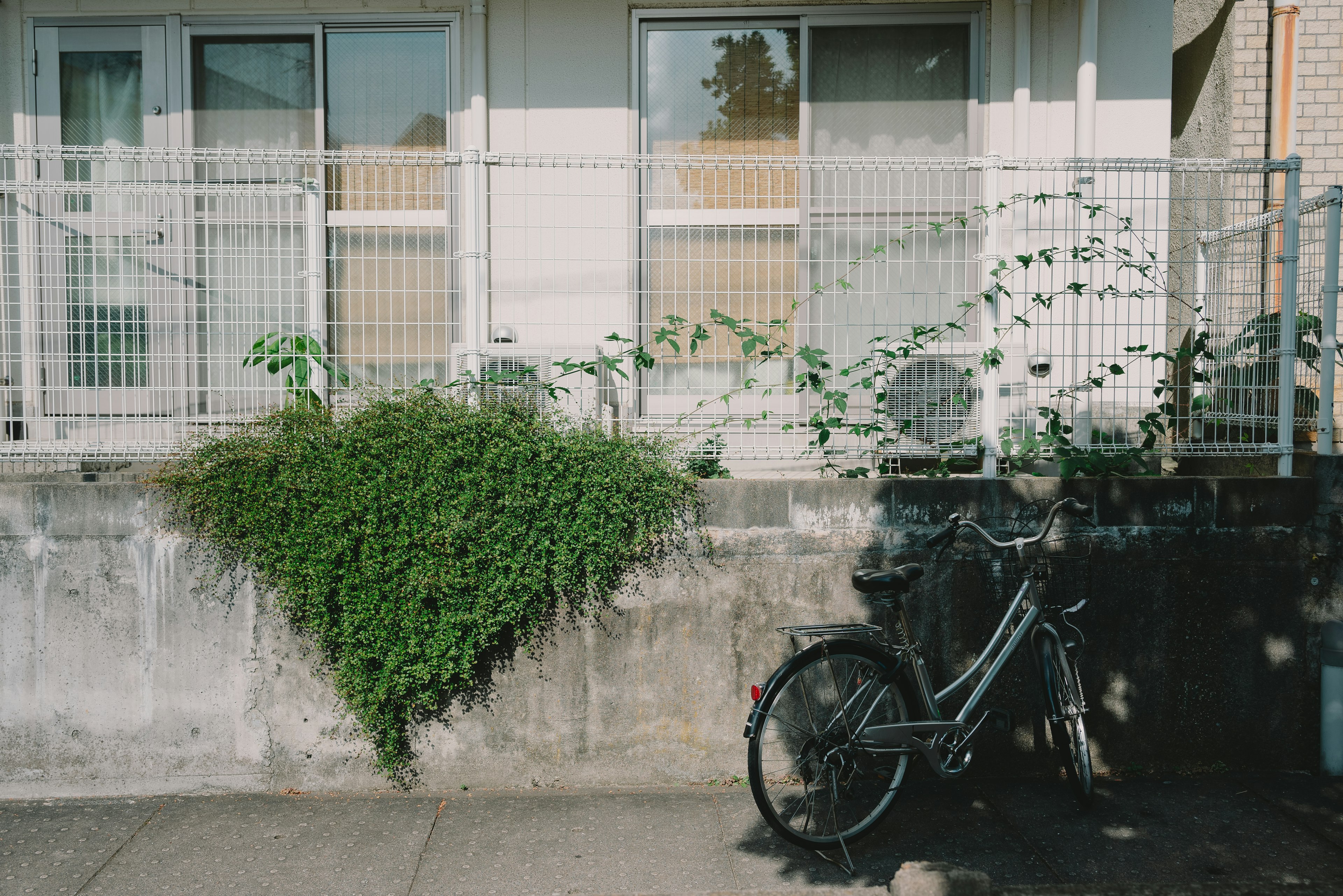 コンクリートの壁の横に置かれた自転車と植物が育つ風景