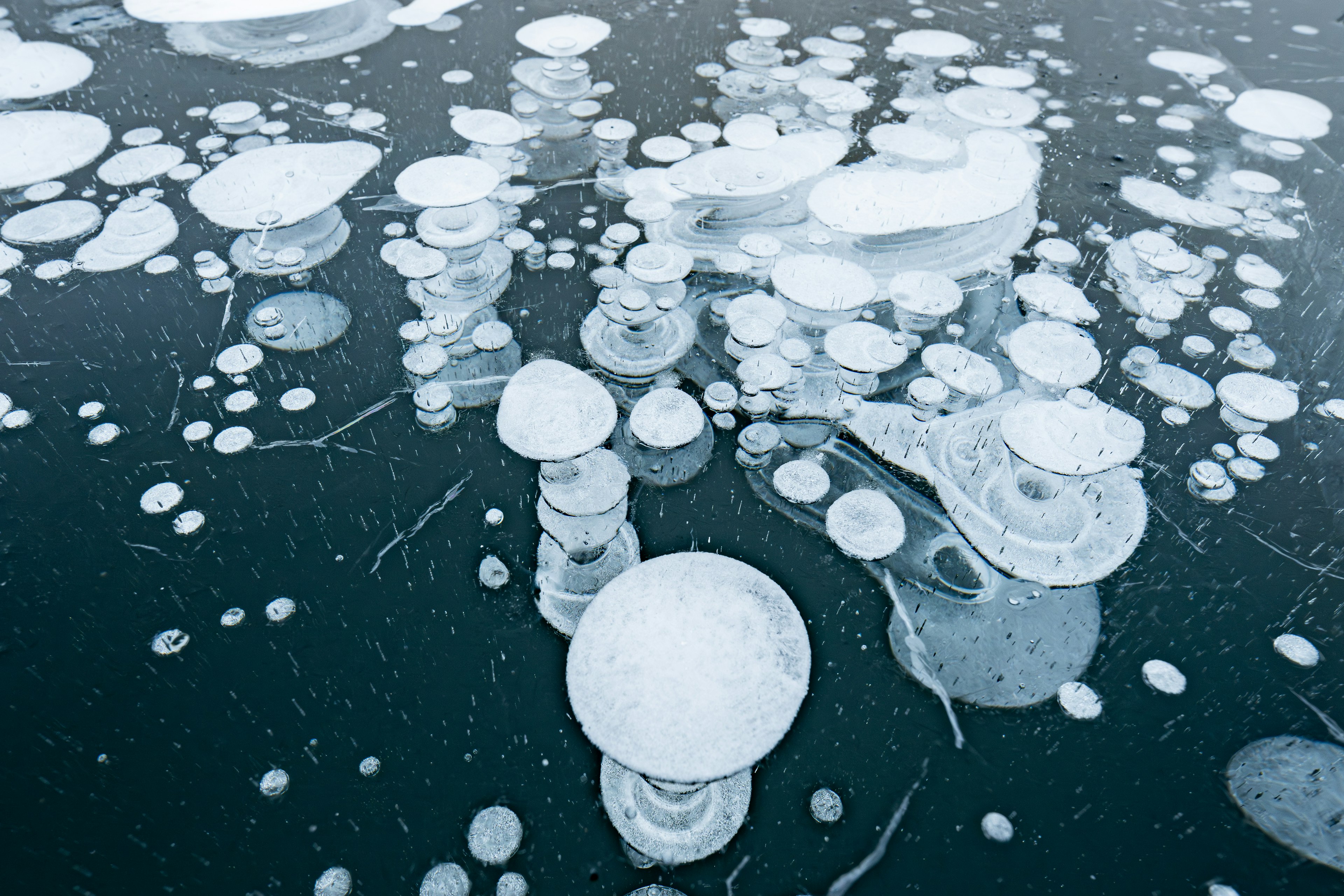 Cluster von weißen Blasen, die auf Eis mit einer dunklen Wasseroberfläche schwimmen