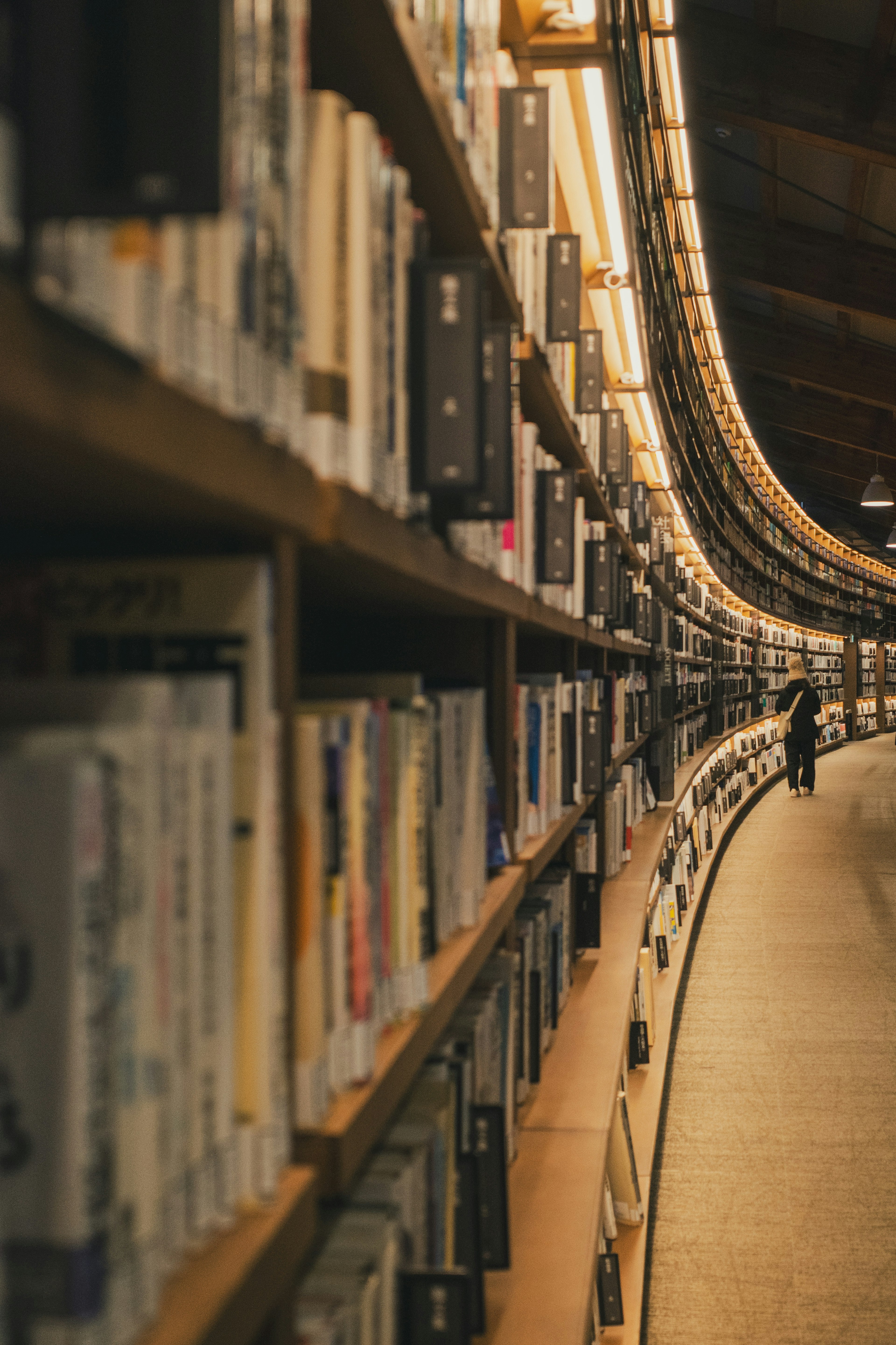 Interior perpustakaan dengan rak buku melengkung dan seseorang yang berjalan