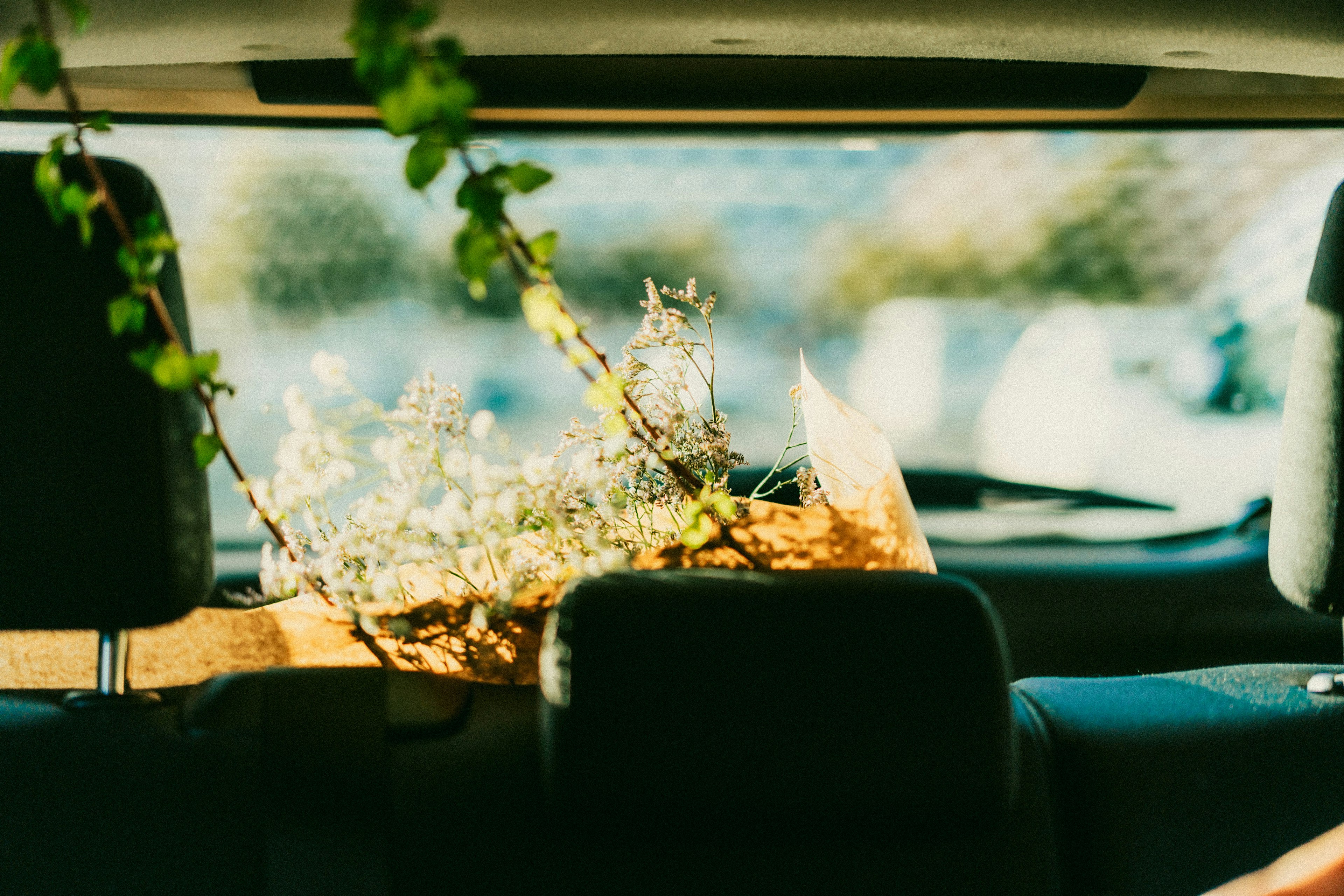 Pengaturan bunga dengan daun di jok belakang mobil