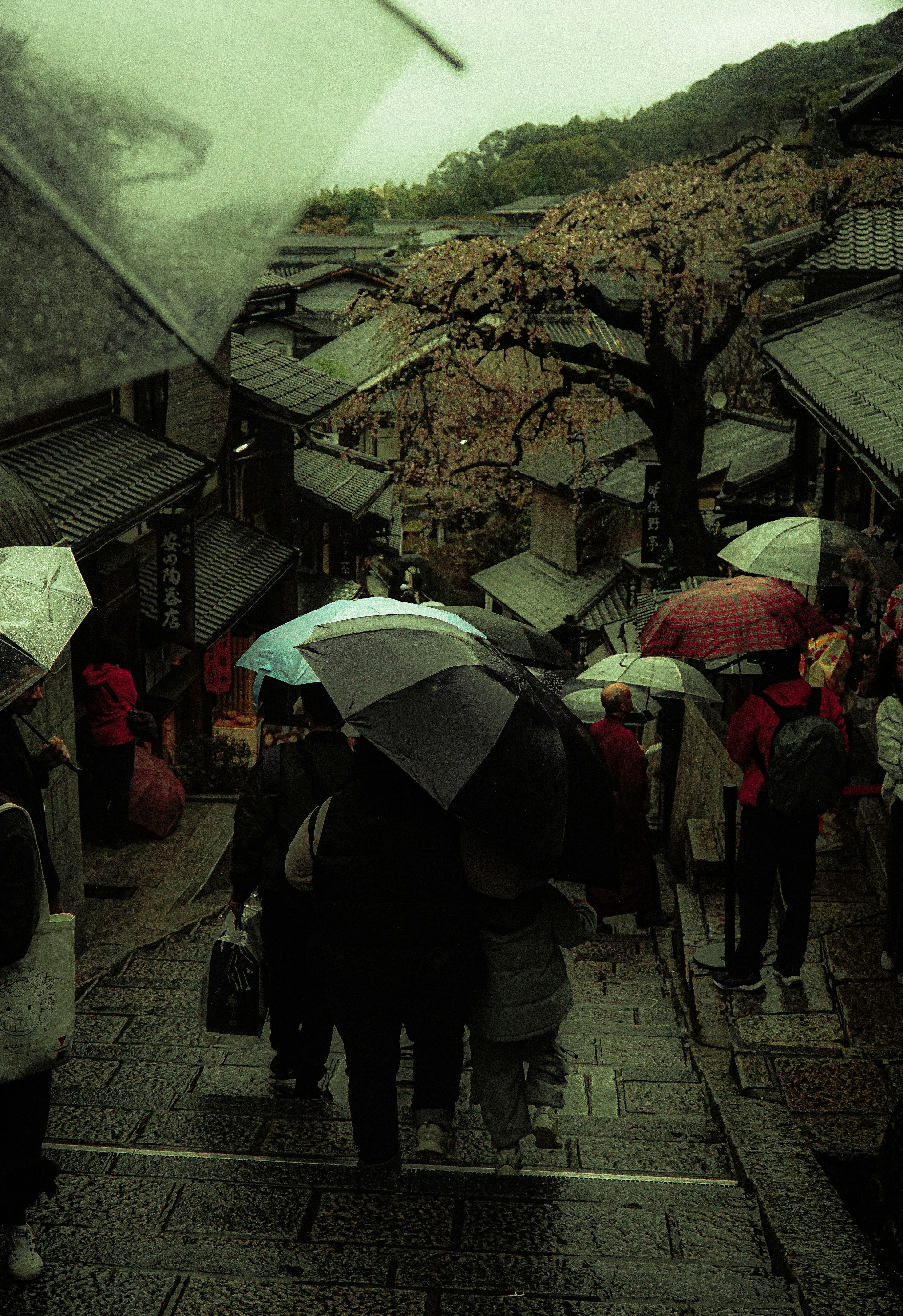 雨の中を傘をさして歩く人々 古い街並みと木々が見える