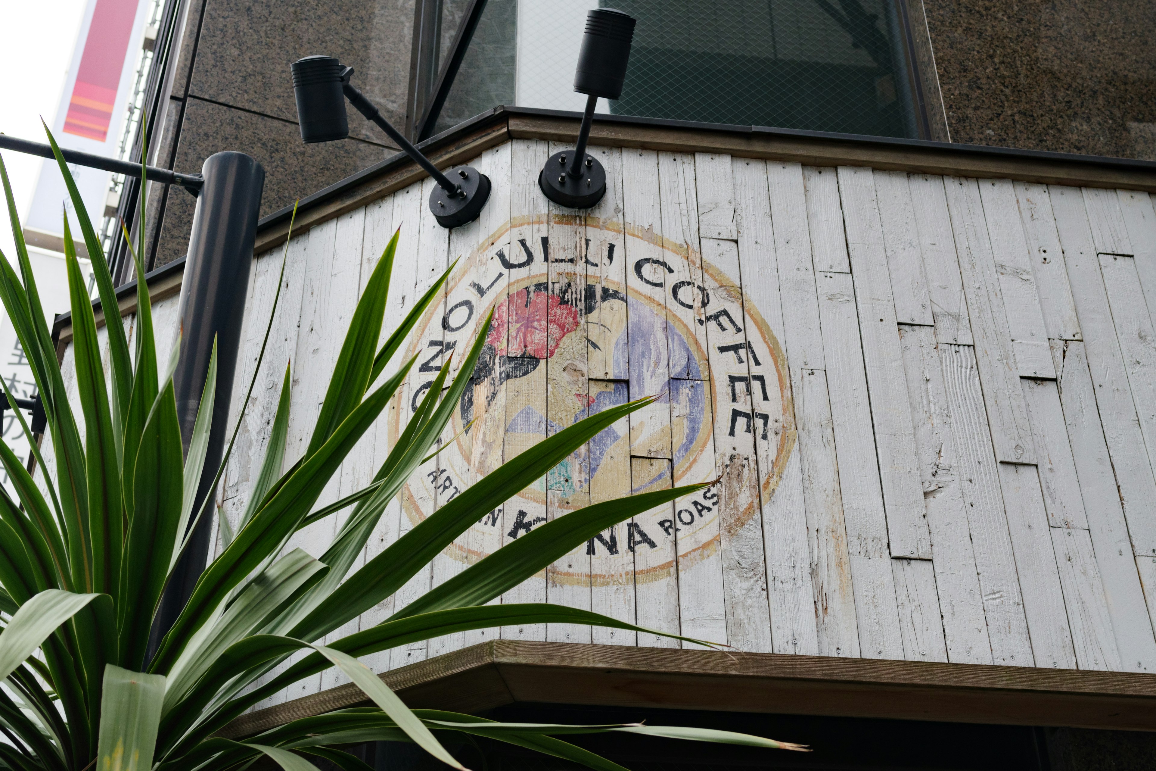 Exterior of a cafe featuring a Honolulu Coffee sign, white wooden wall and plants