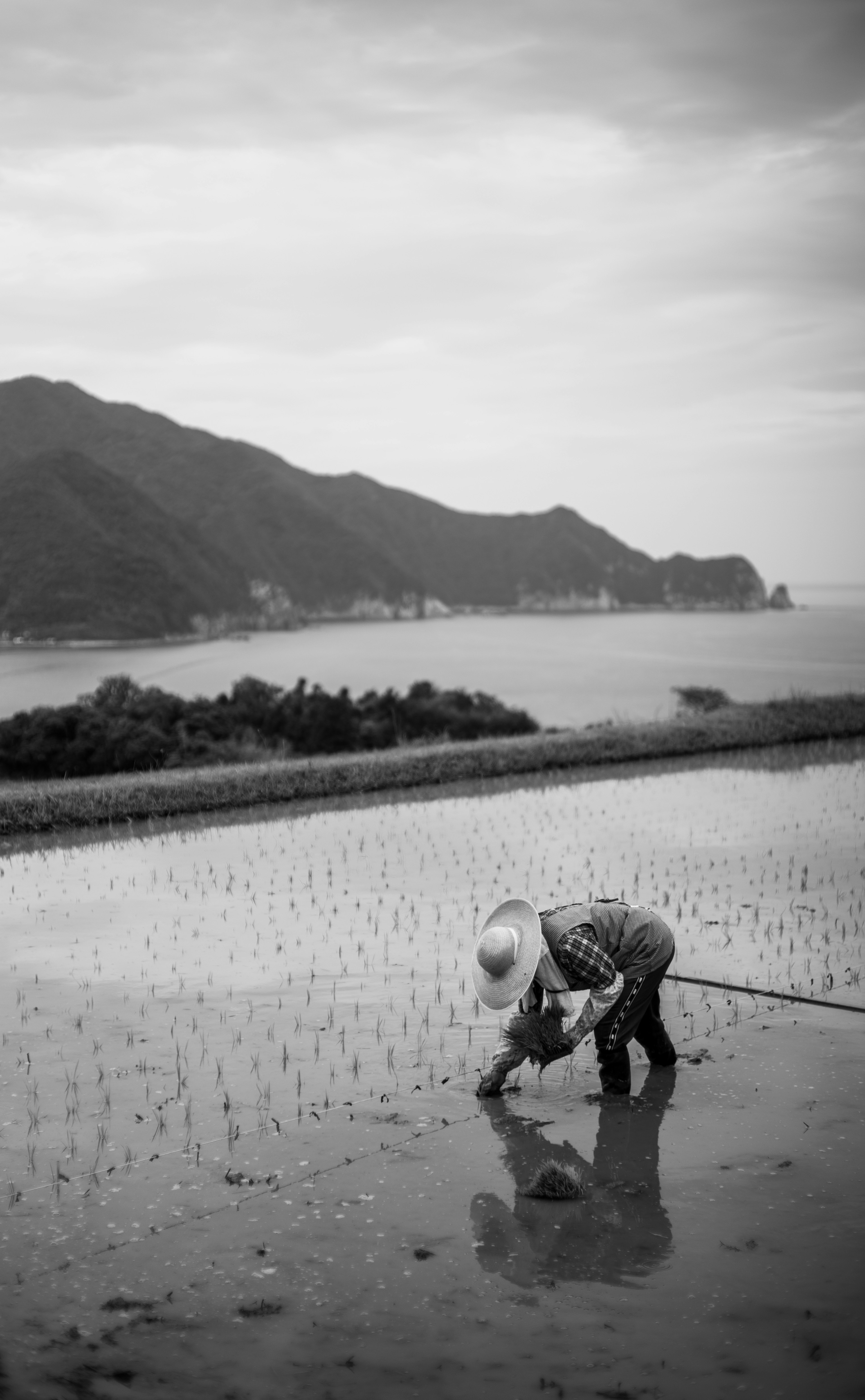 논에서 일하는 사람과 배경의 산과 물이 시골의 아름다움을 보여줍니다