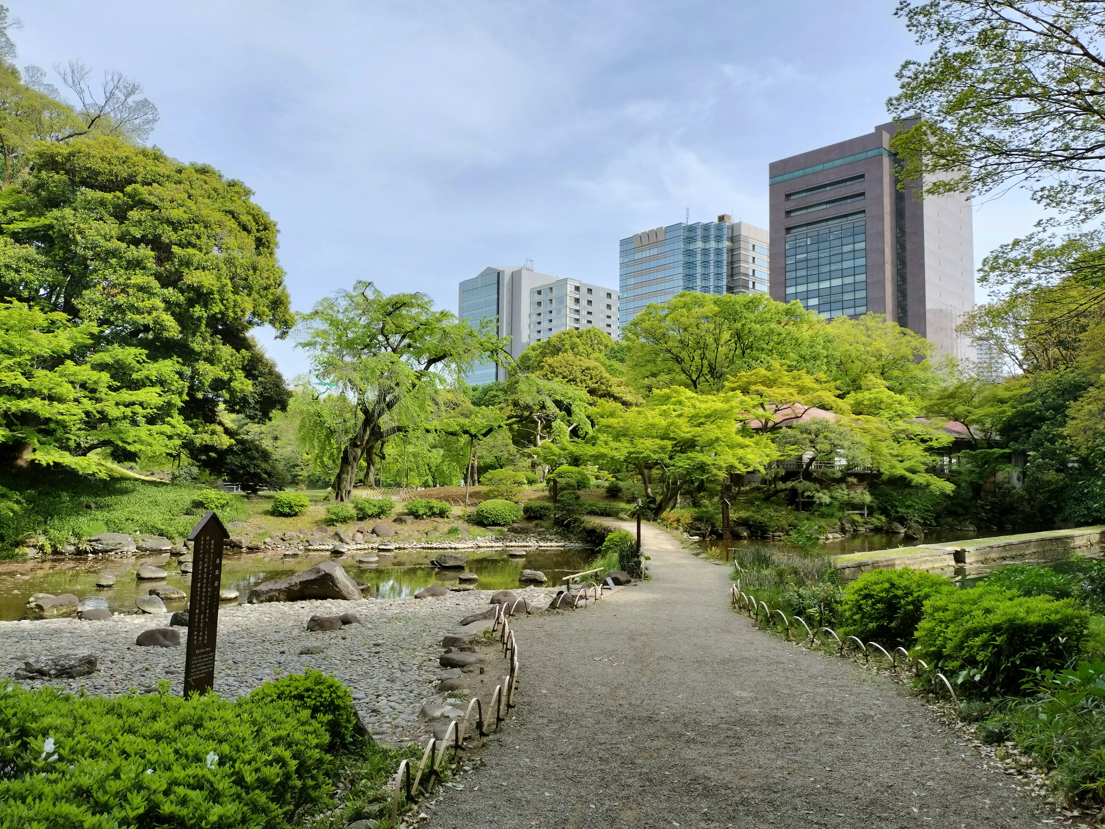 Lush park landscape with skyscrapers in the background