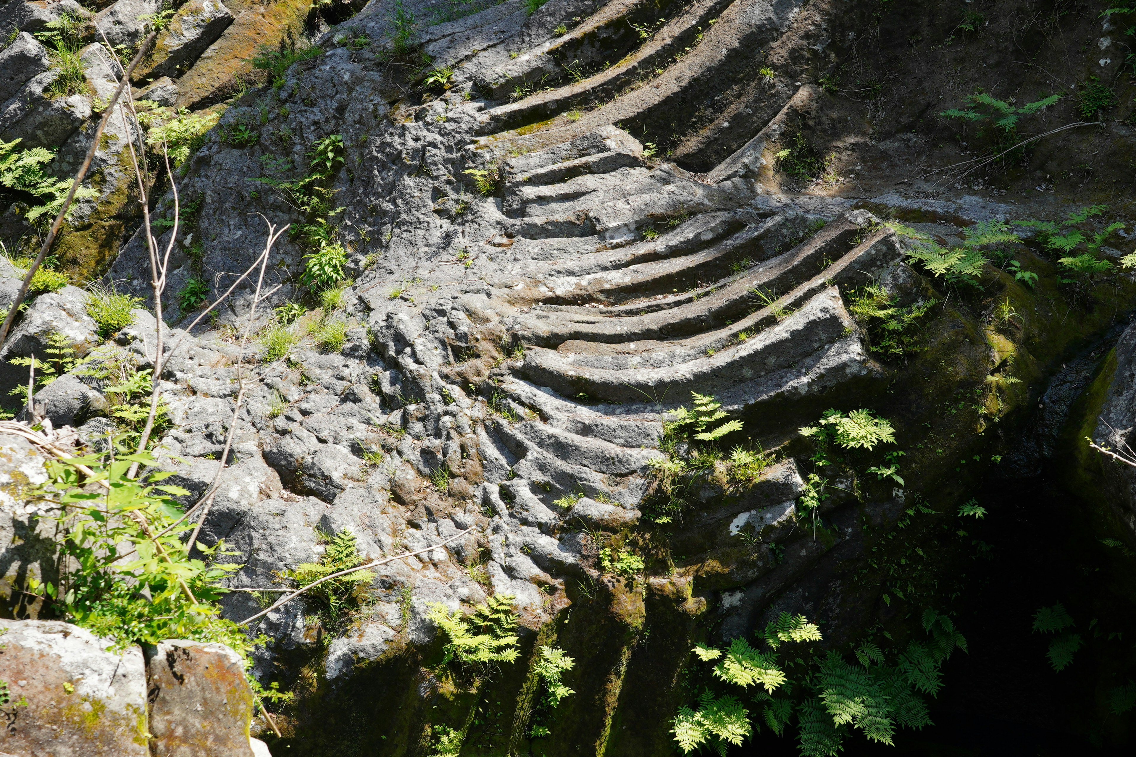 Wave-like patterns carved into rock with green foliage