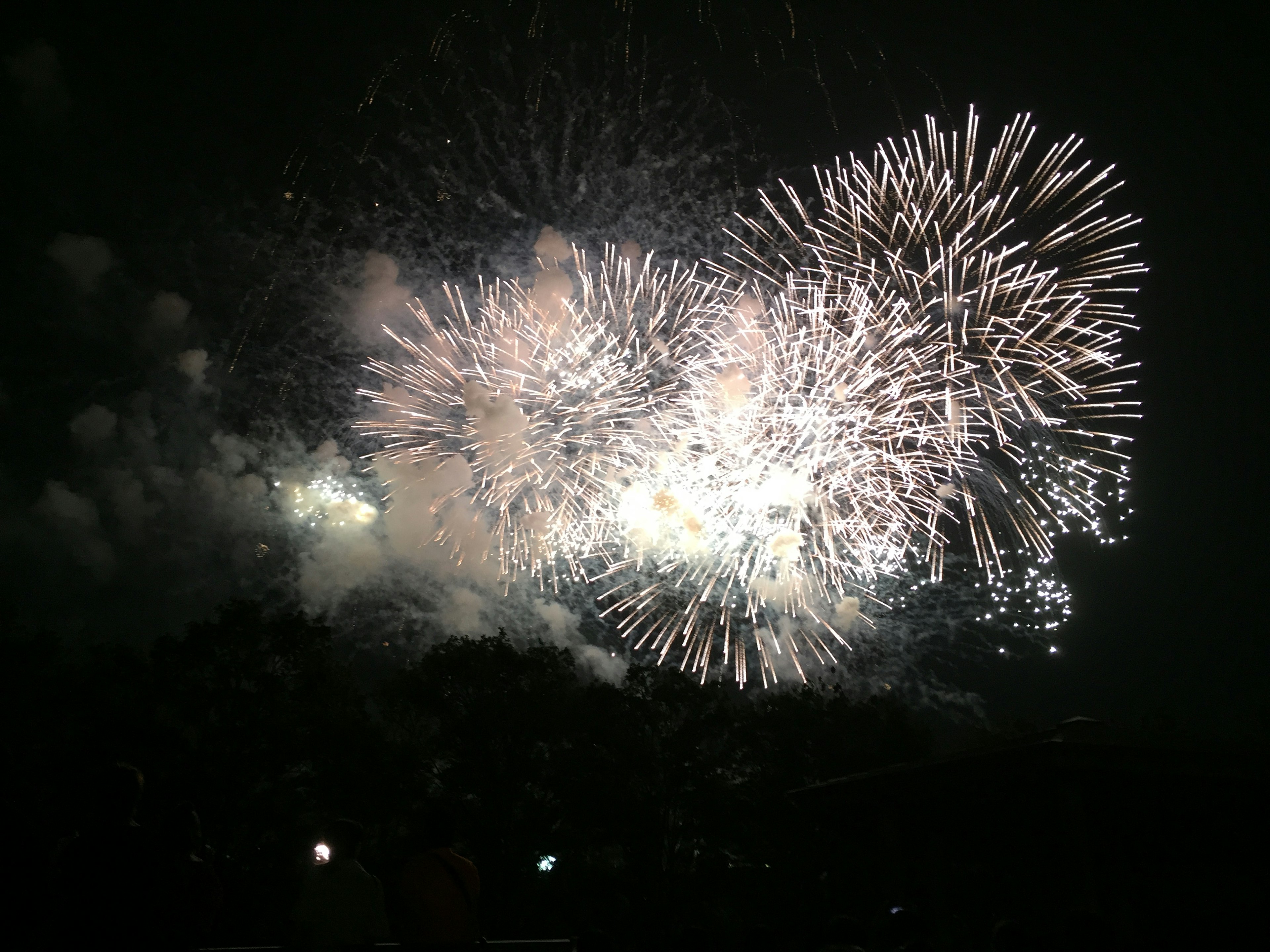 Grandi fuochi d'artificio che esplodono nel cielo notturno