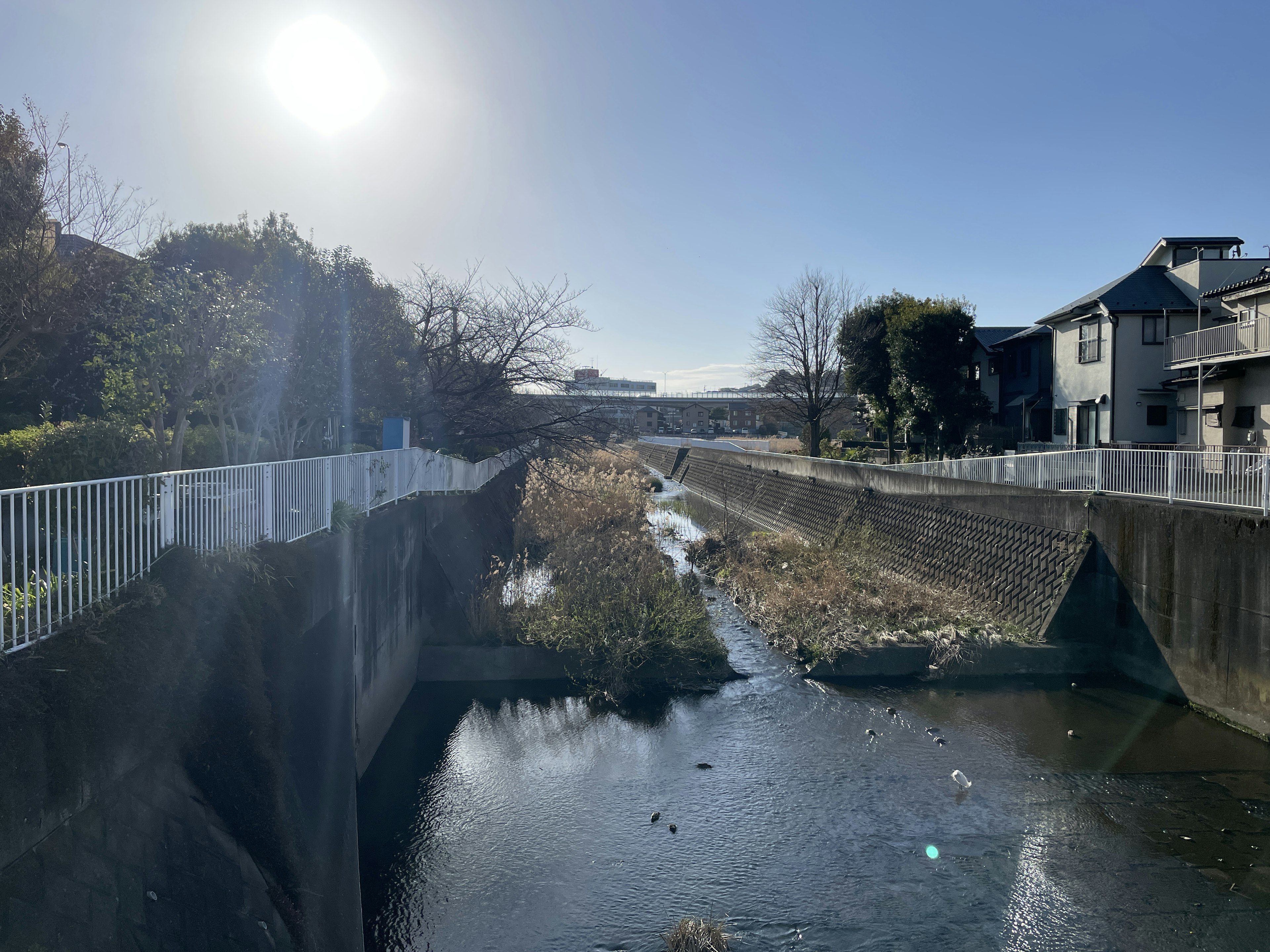 Ruhige Flusslandschaft mit Häusern unter einer hellen Sonne und klarem blauen Himmel