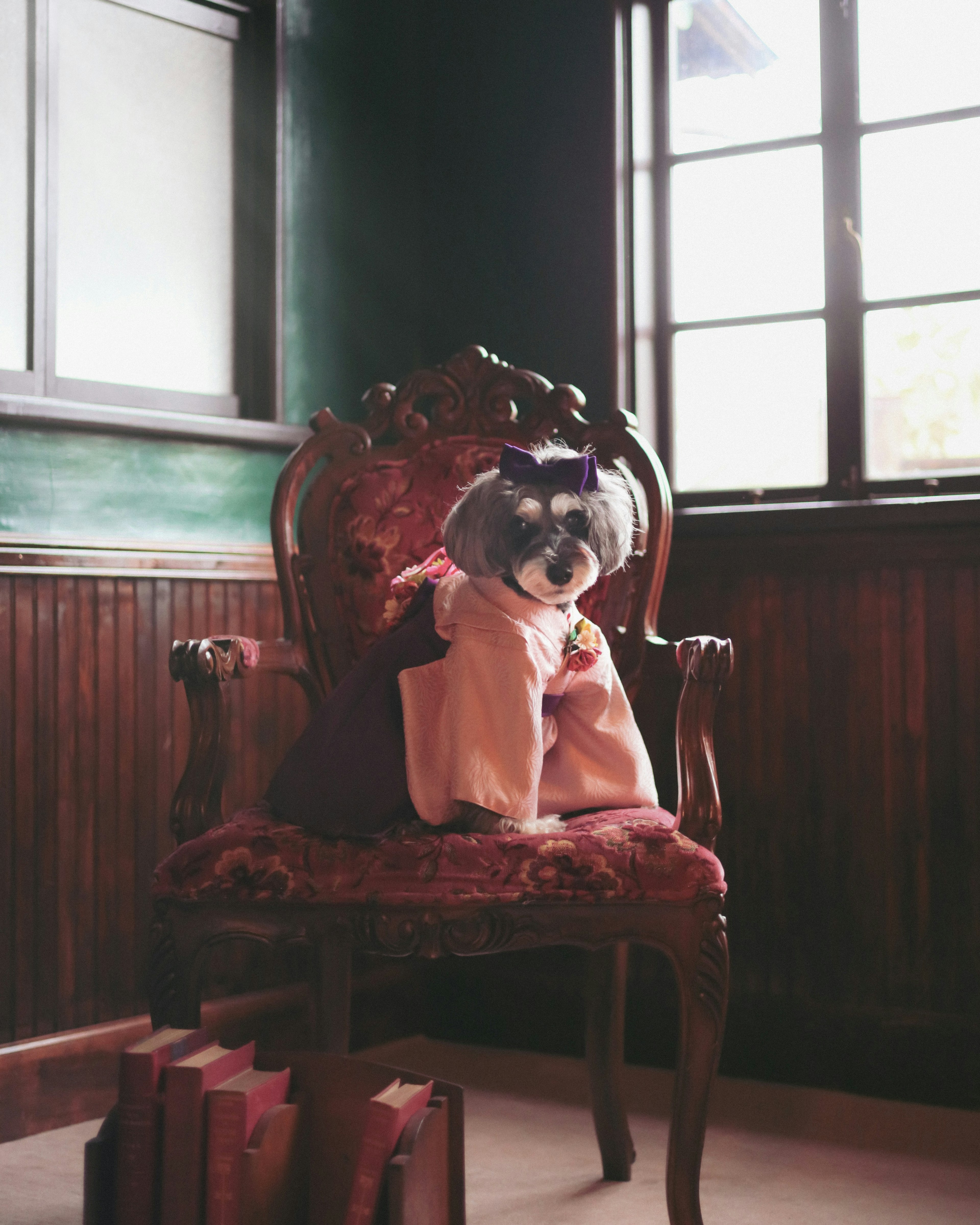 A dog sitting on an ornate chair with a green wall and wooden paneling in the background