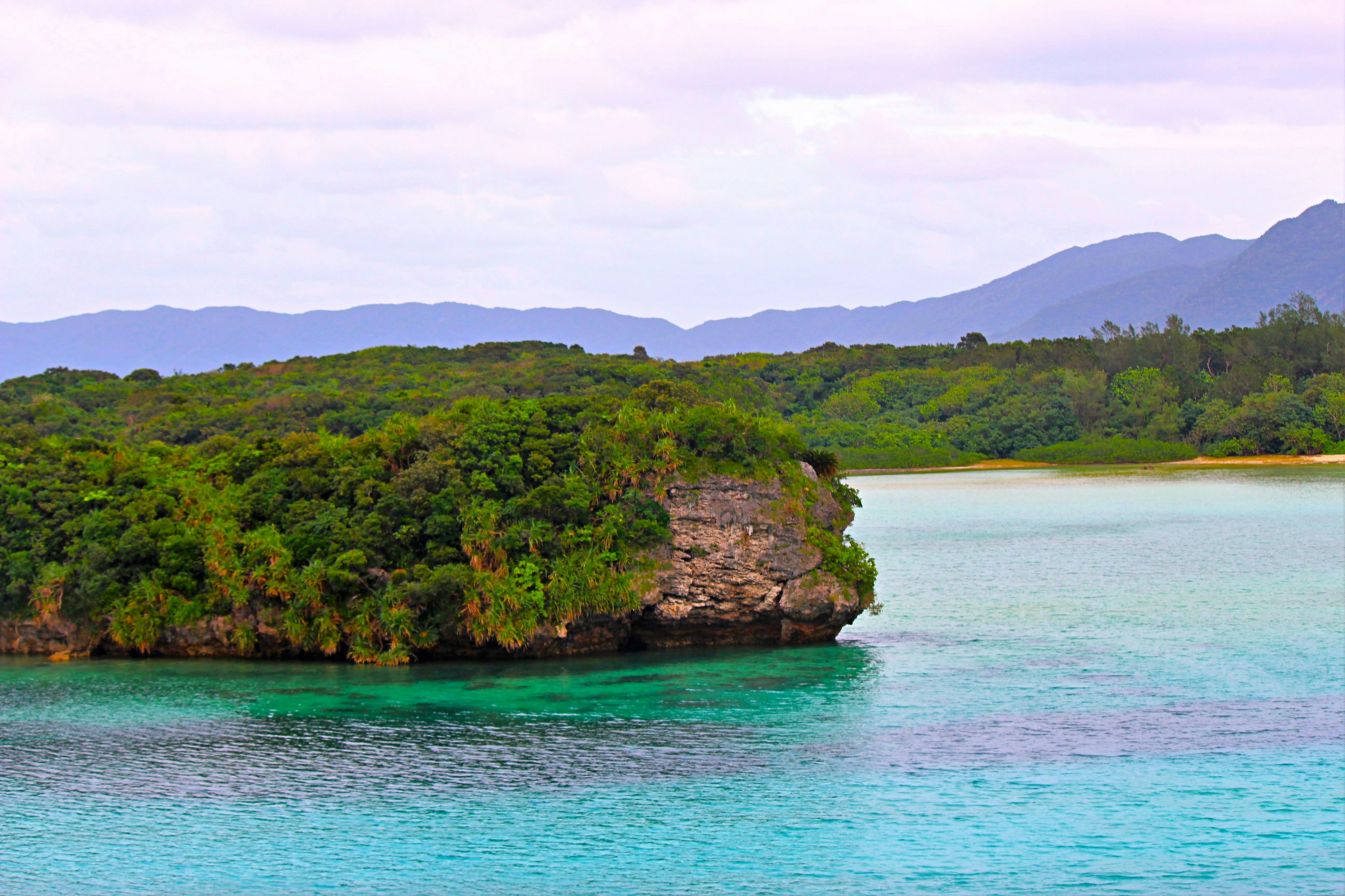 Scenic view of turquoise water and lush green island