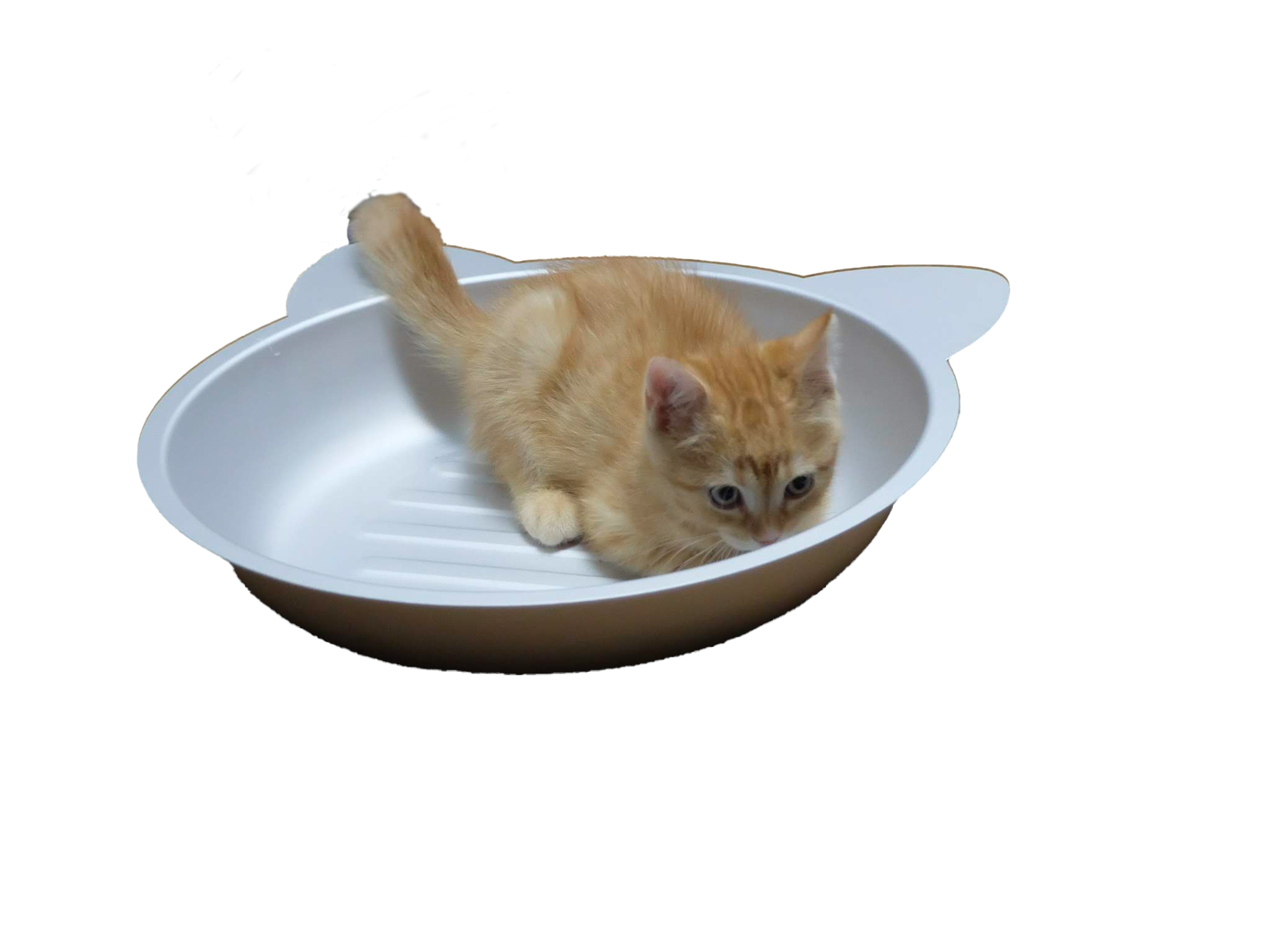 A small orange kitten sitting in a cat-shaped bowl