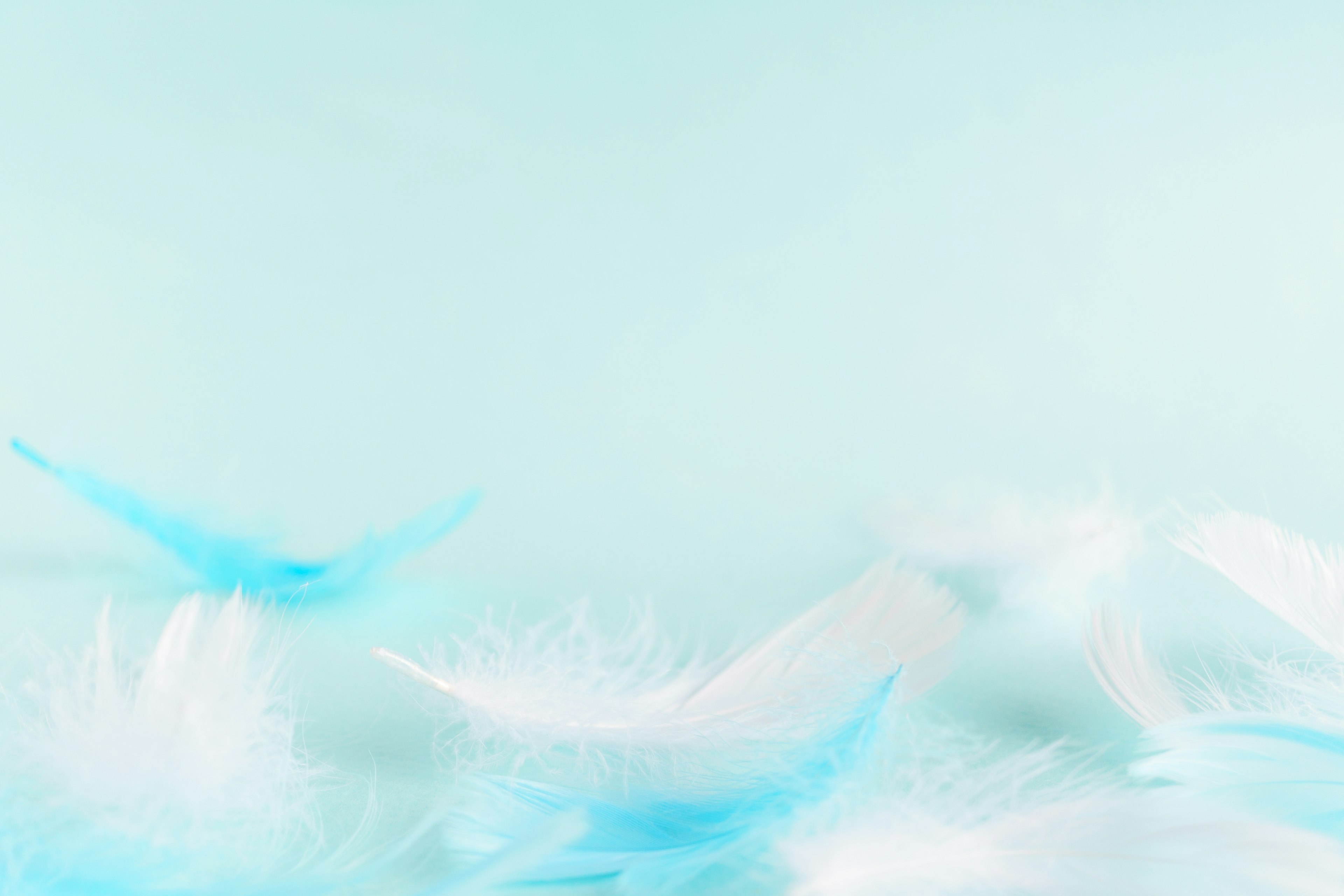 Abstract background with soft feather-like textures in blue and white