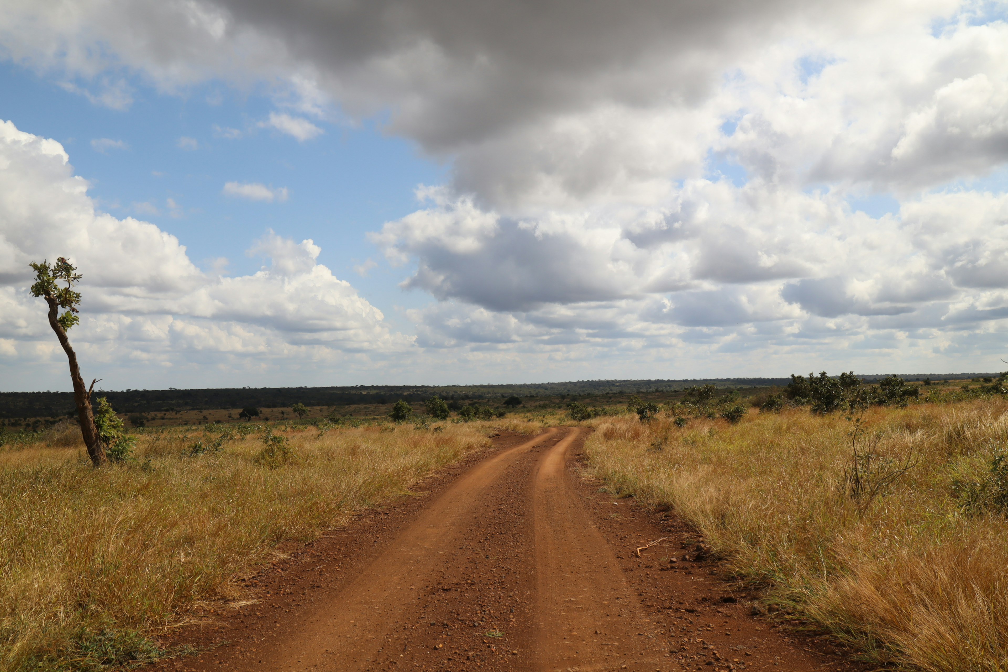 Schotterstraße, die sich durch eine weite Graslandschaft unter einem bewölkten Himmel schlängelt