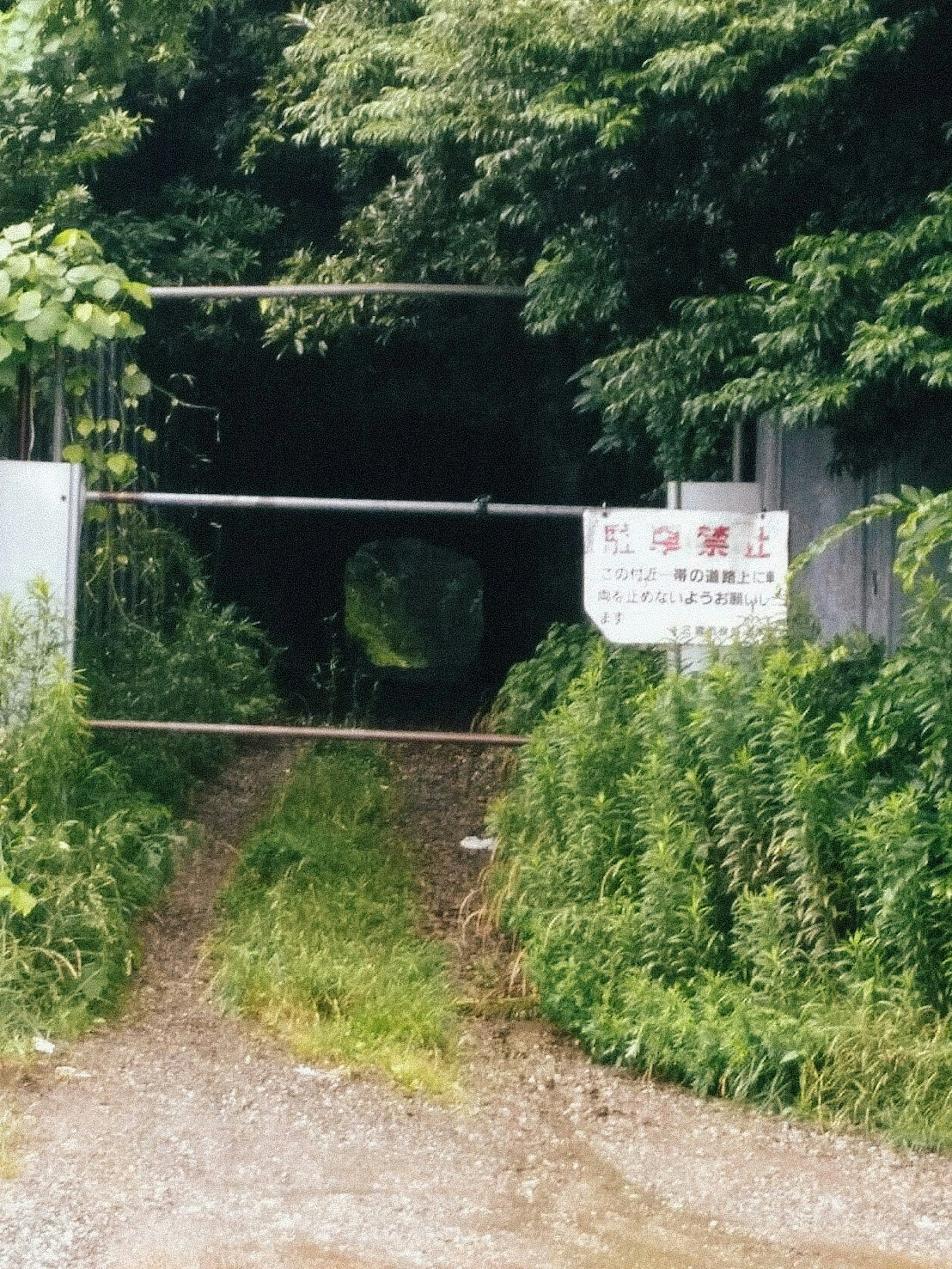 Puerta cerrada rodeada de vegetación con señal de advertencia