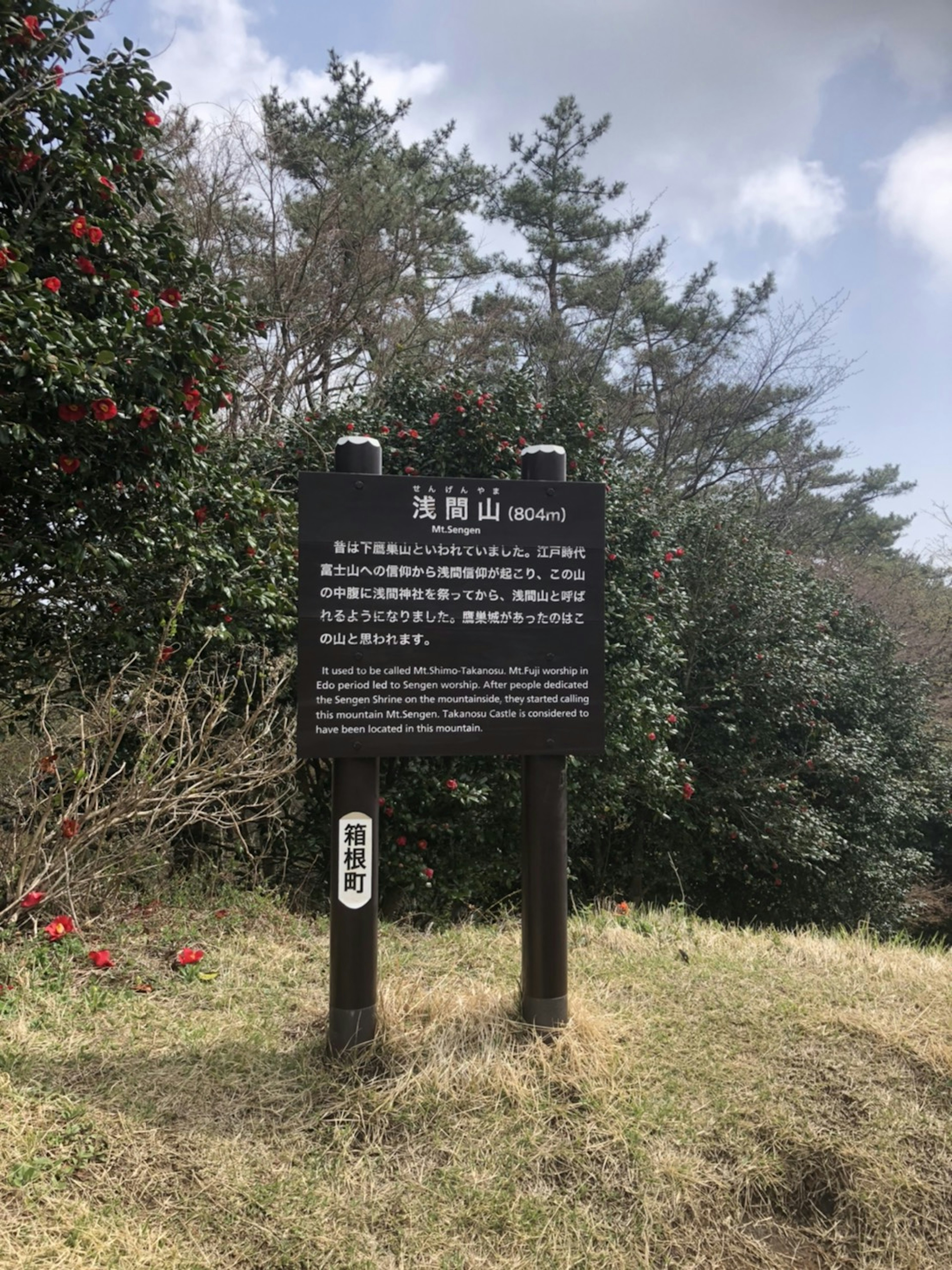 Ein schwarzes Schild in einer Landschaft mit umgebenden Bäumen und Gras