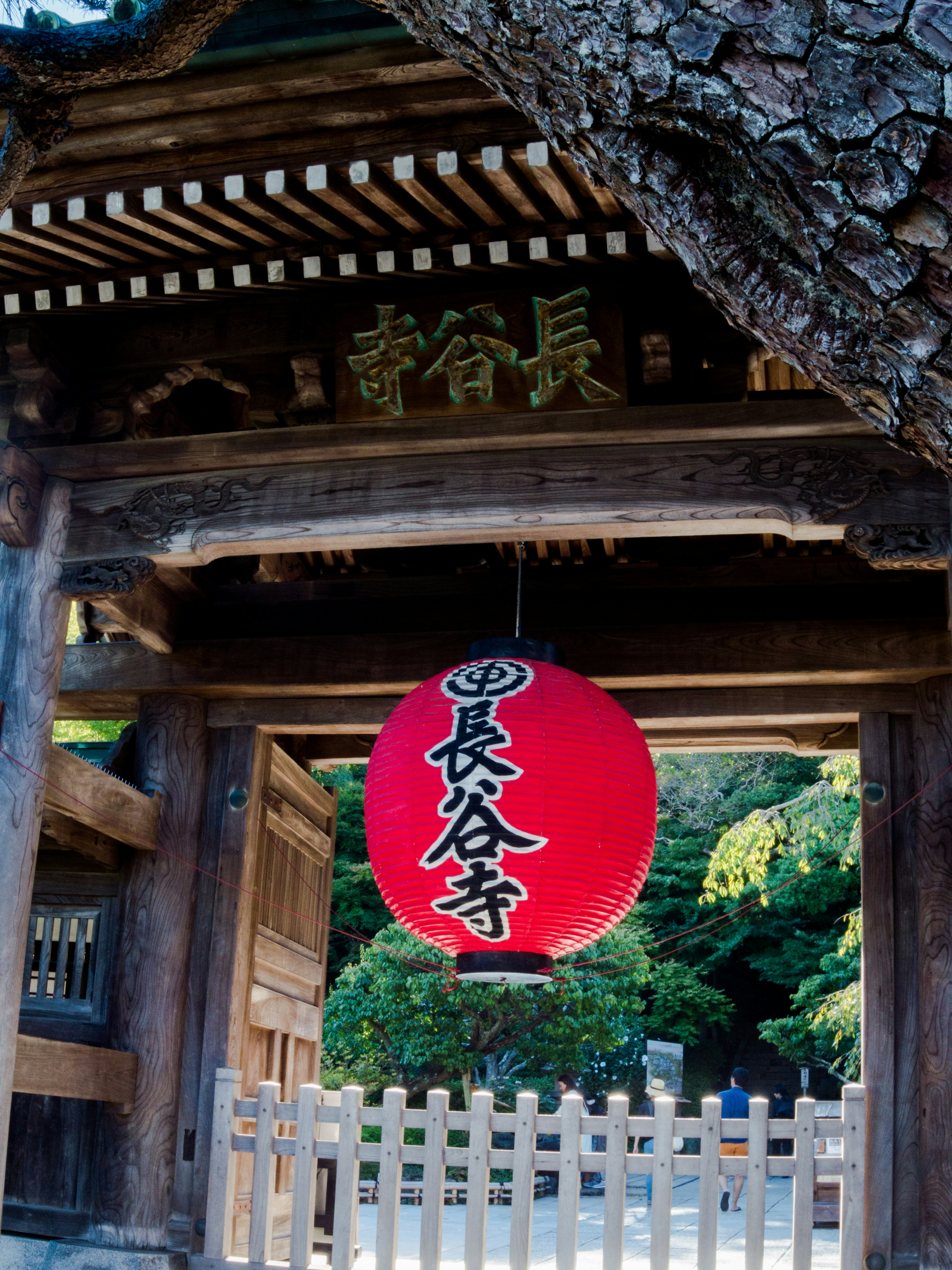 Wooden gate with a red lantern and lush greenery