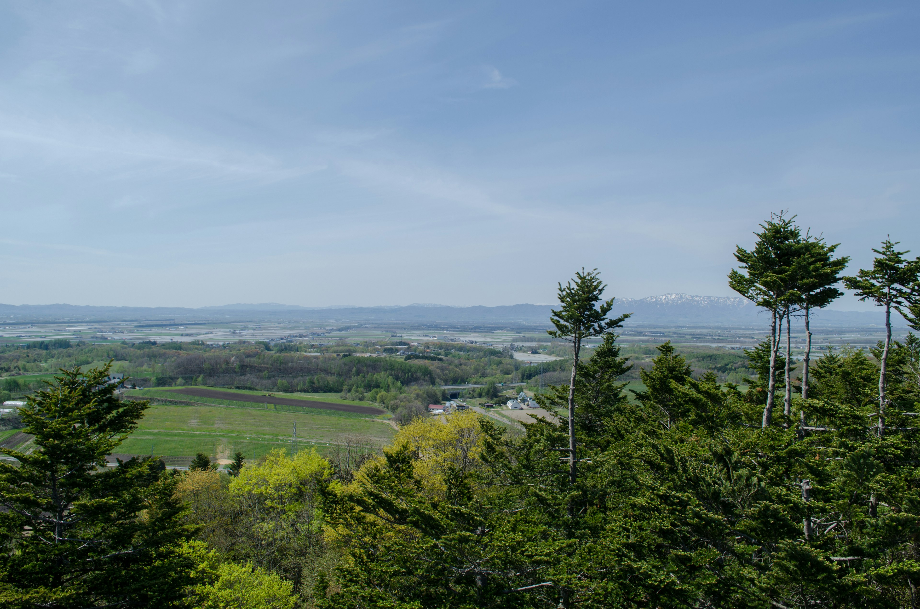 Vue panoramique avec des arbres verts luxuriants et un vaste paysage sous un ciel bleu