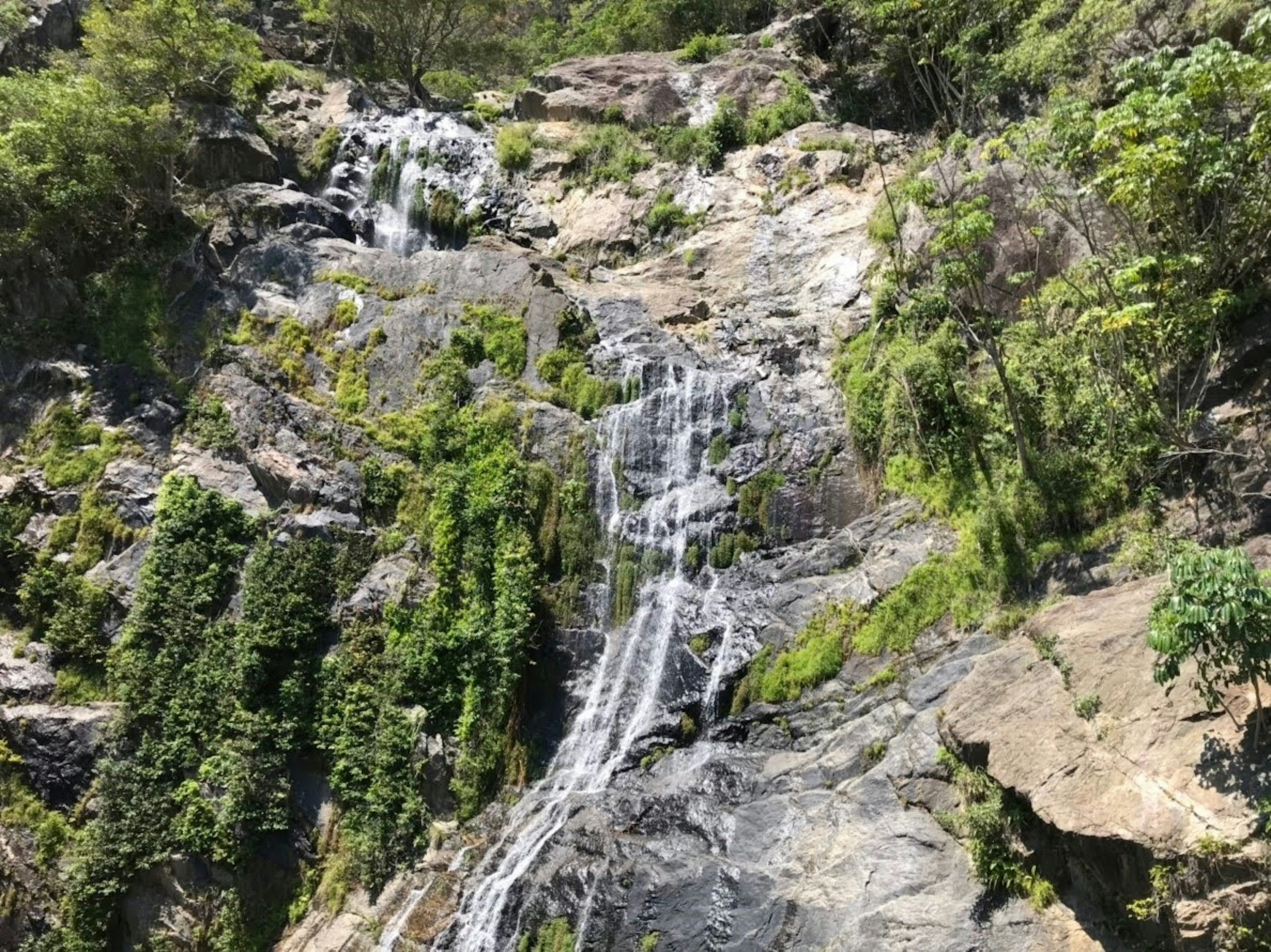 Hermosa cascada que cae por una superficie rocosa cubierta de vegetación