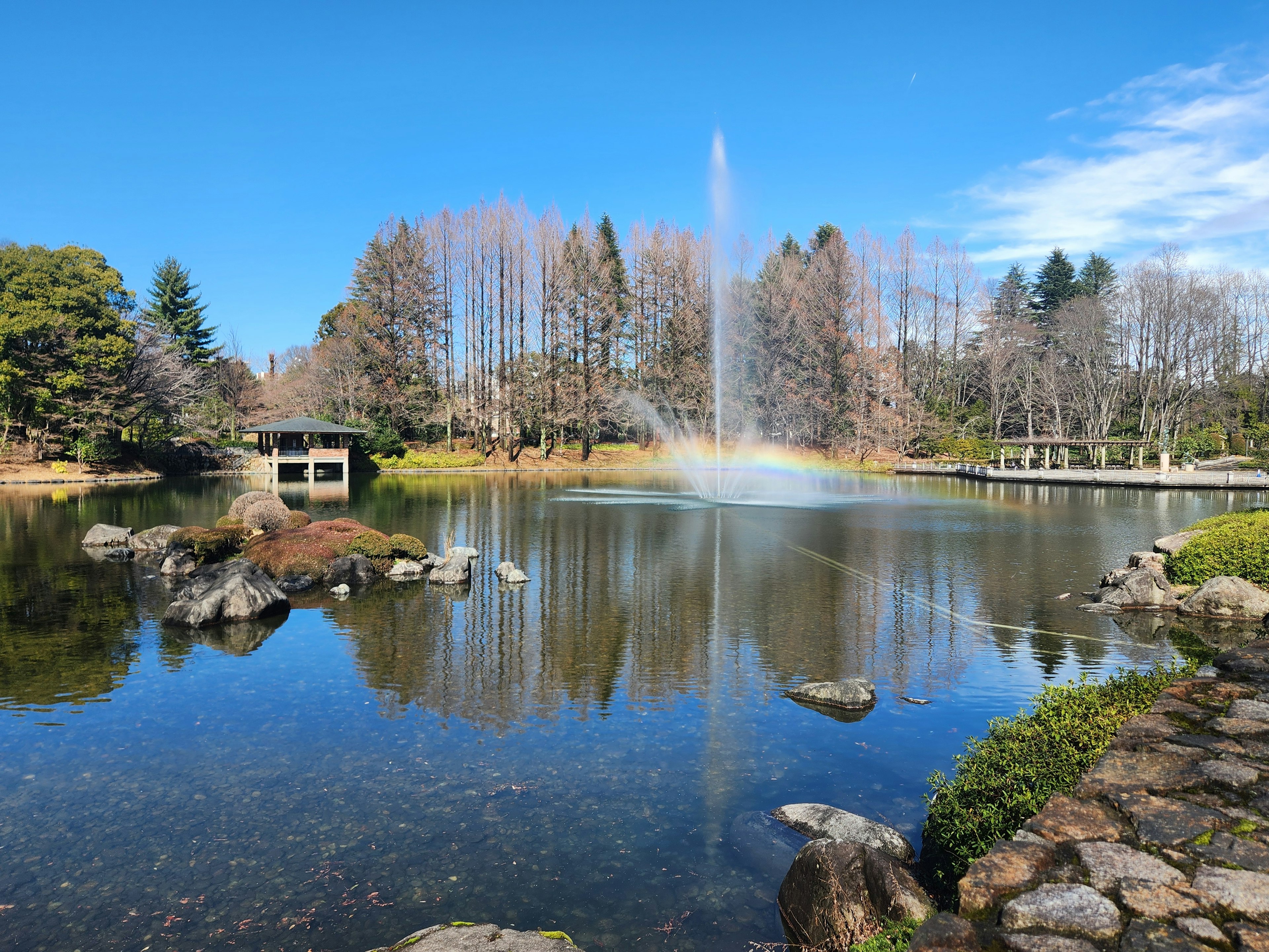 A serene pond with a fountain and clear blue sky