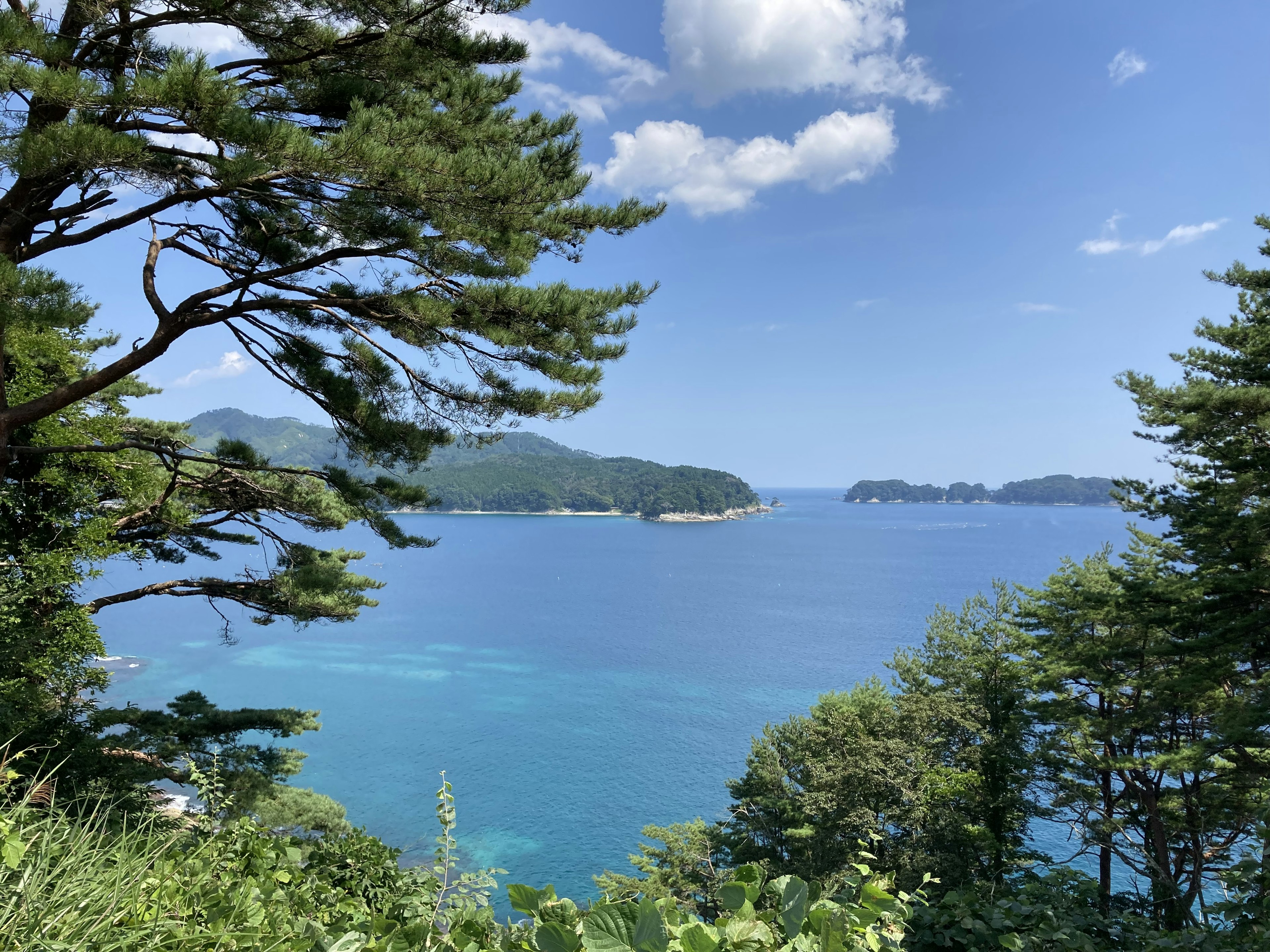 Vista panoramica del mare blu e degli alberi verdi sotto un cielo sereno