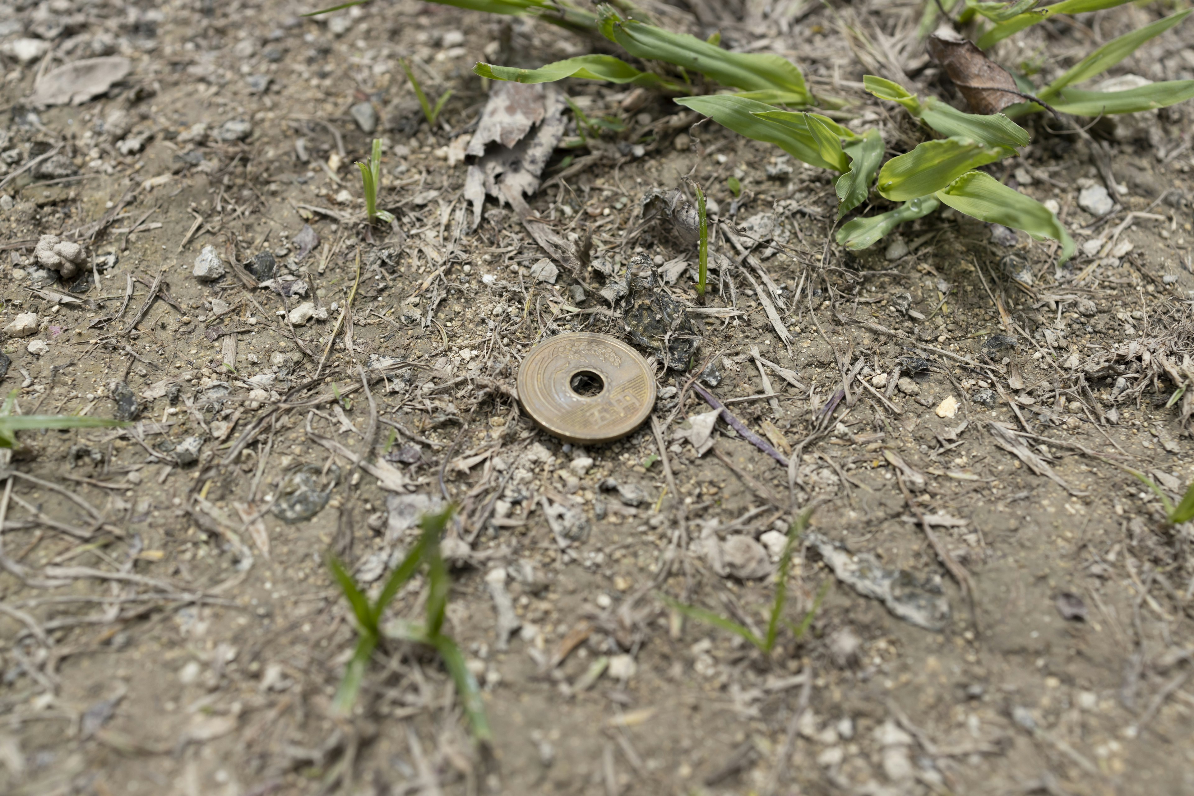 Un oggetto circolare in metallo simile a una moneta sul terreno