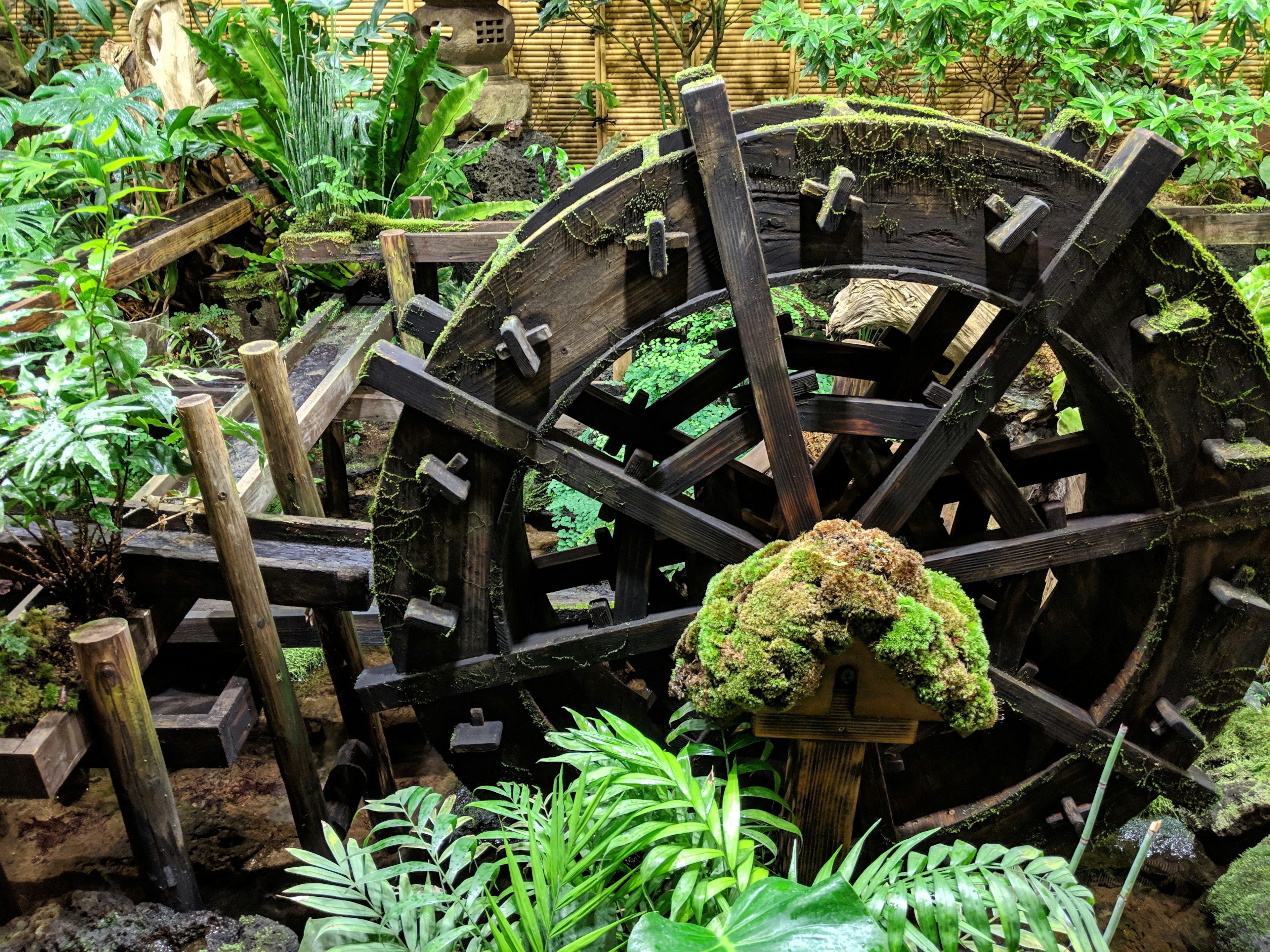 A water wheel surrounded by lush green plants