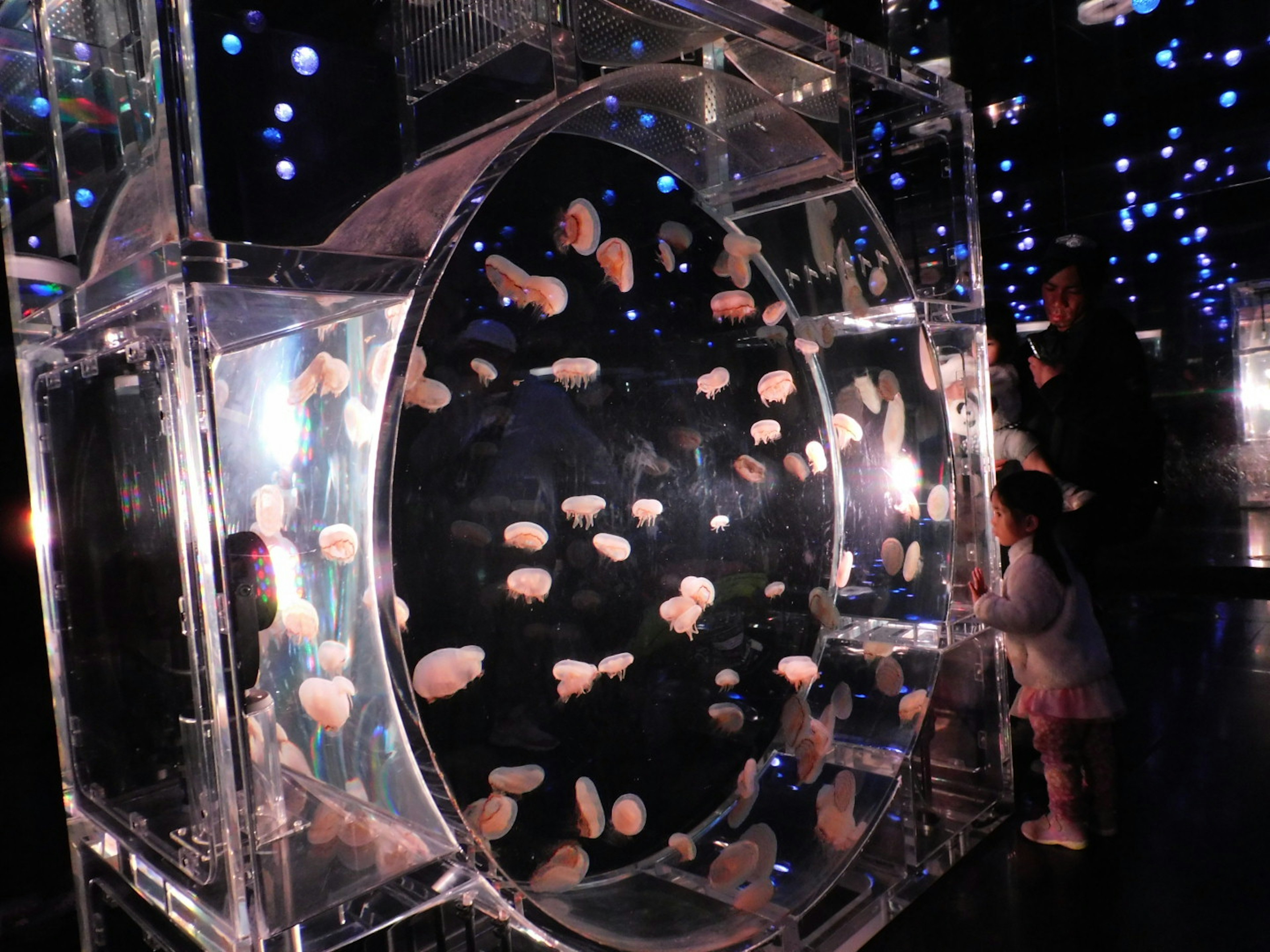 A transparent tank filled with jellyfish surrounded by enchanting lights