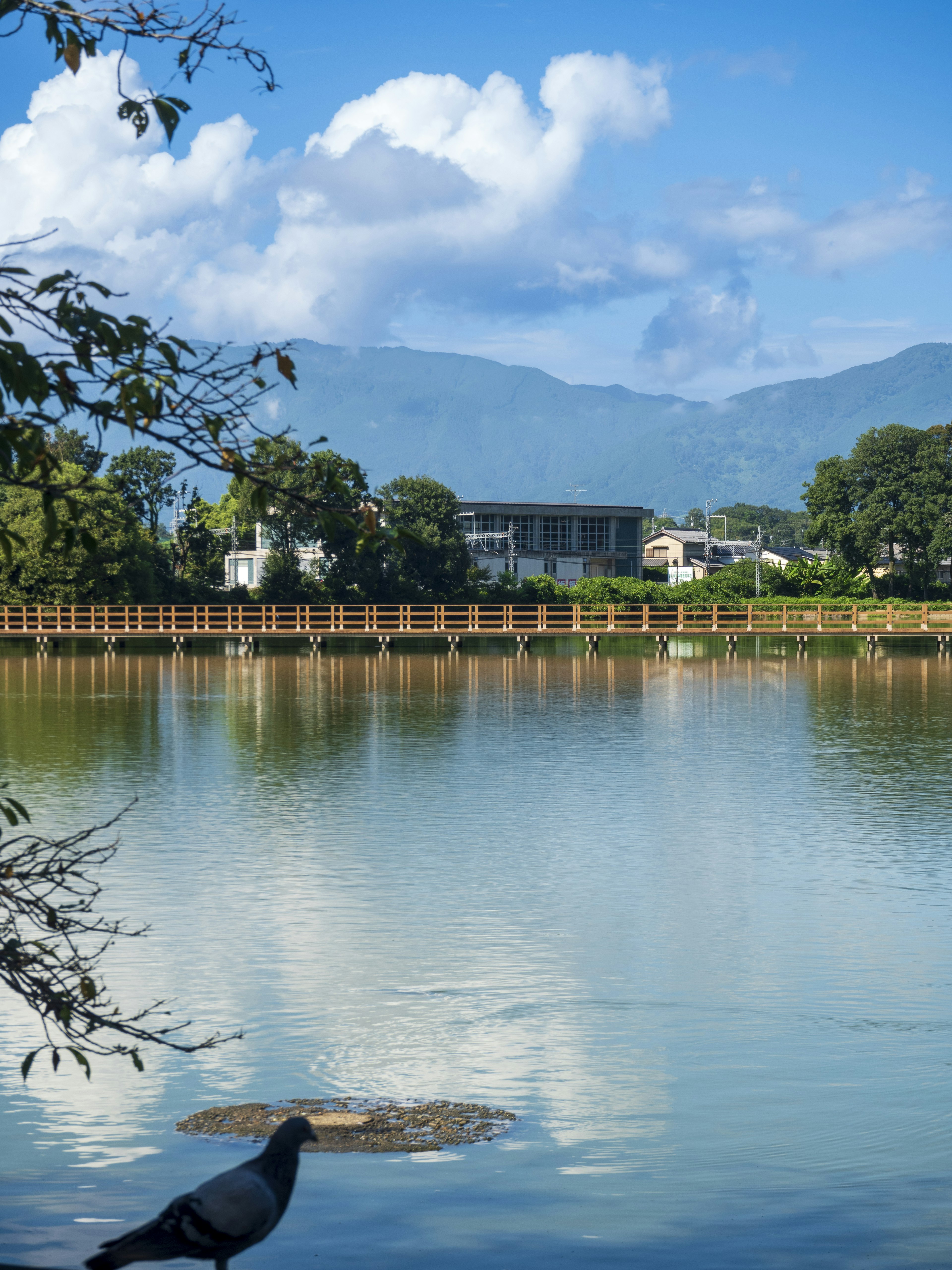 Vue sereine du lac avec des montagnes environnantes et un oiseau au premier plan