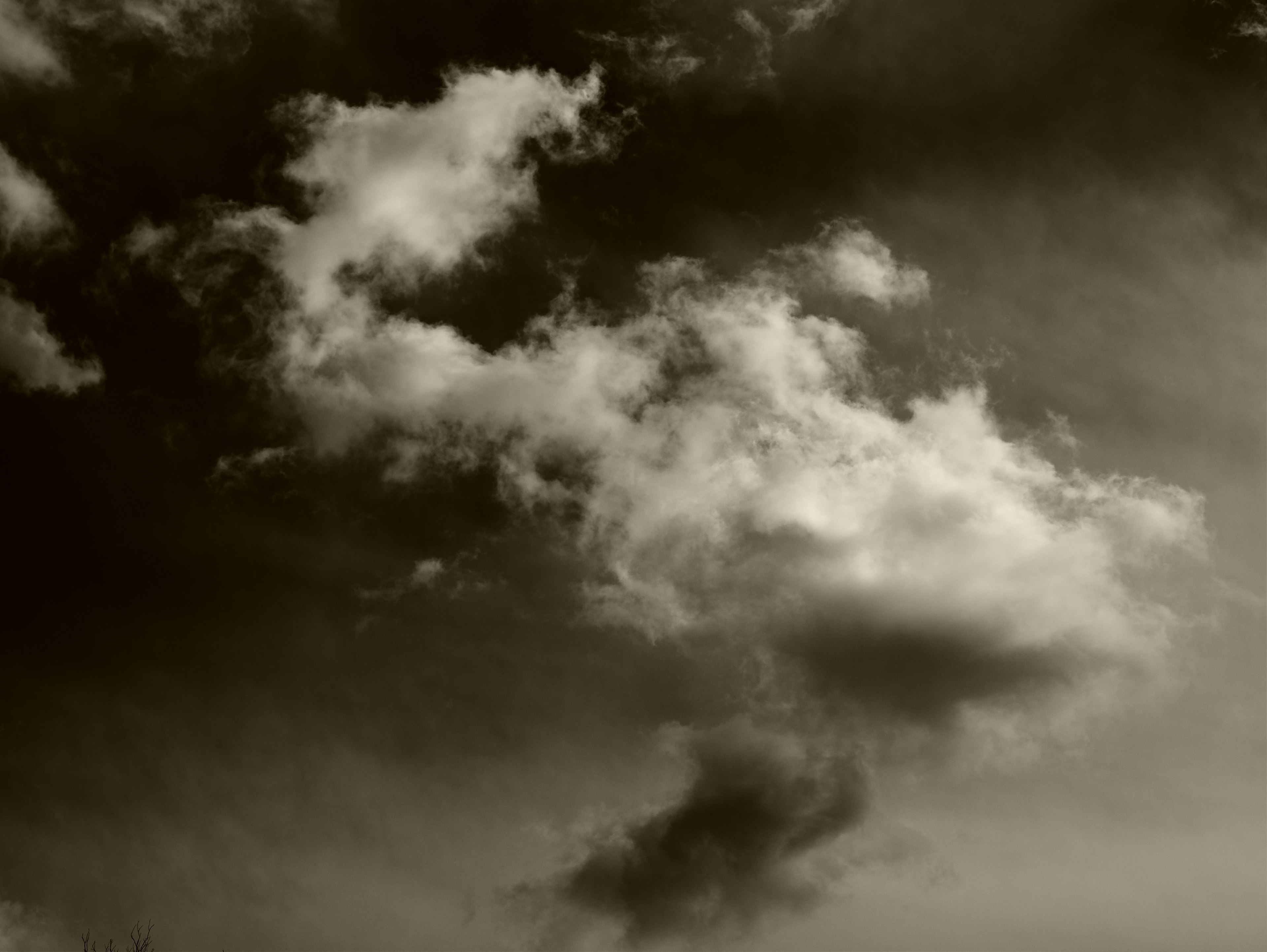 Monochrome photo of clouds with various shapes spread across the sky