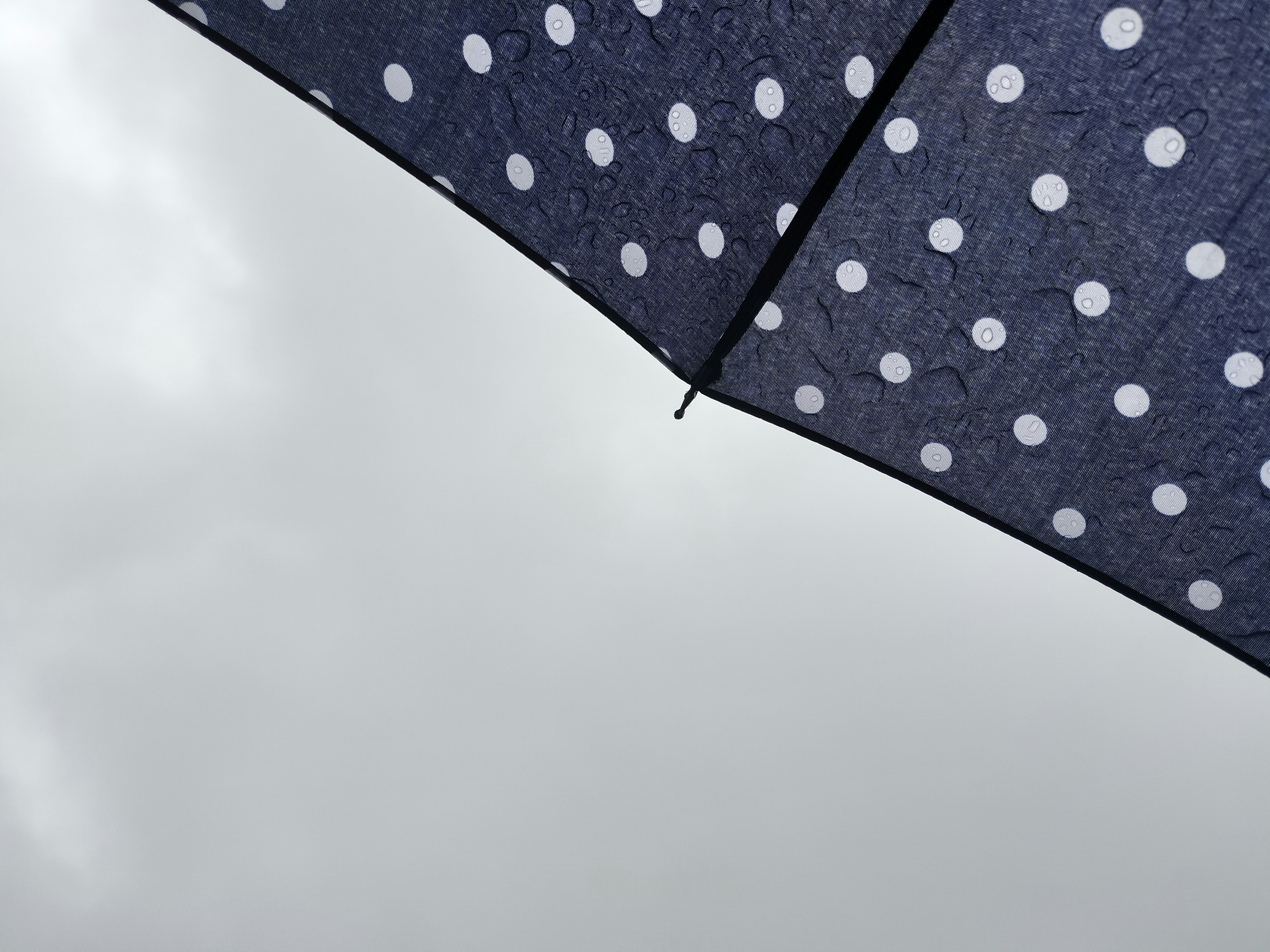 A polka dot umbrella covering a cloudy sky